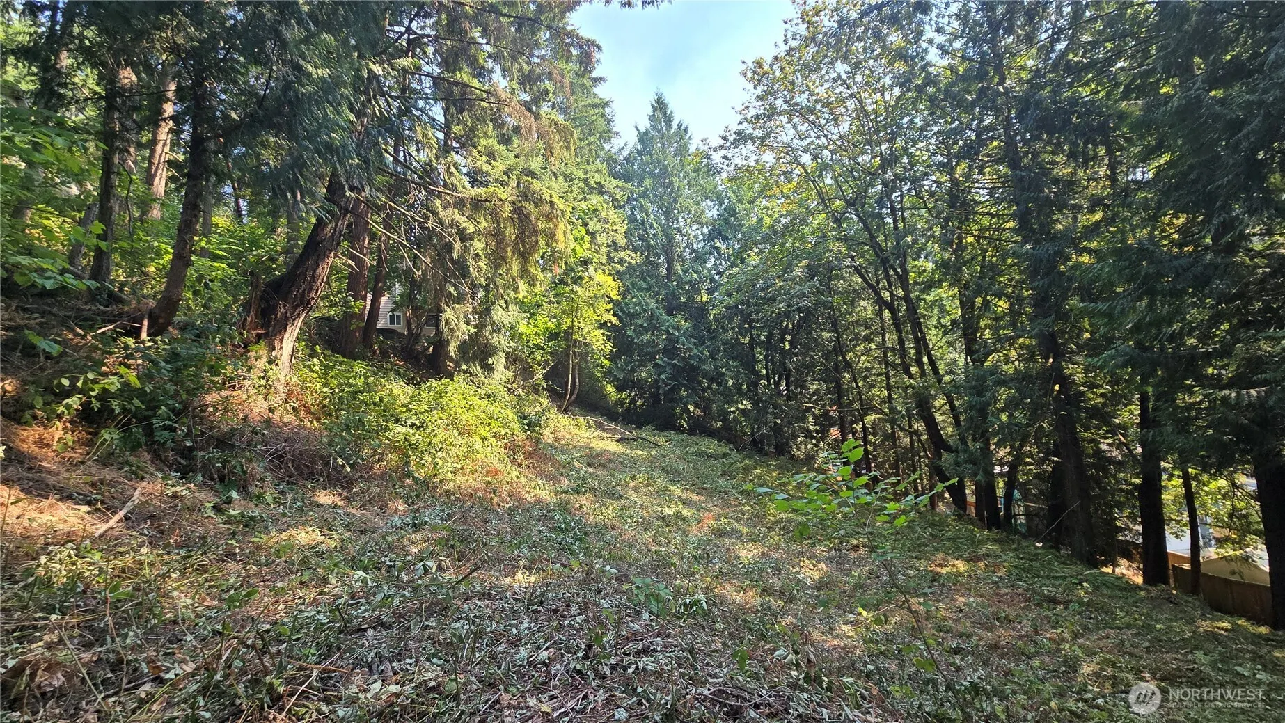 1320 207th Place NE, Sammamish, WA 98074