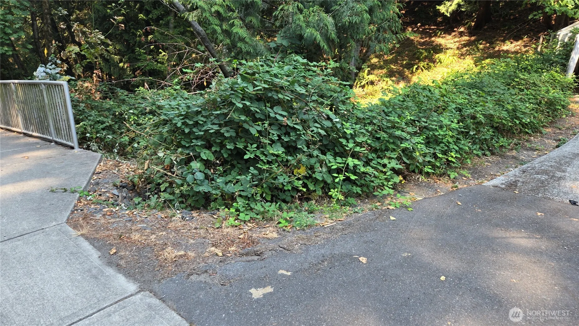 1320 207th Place NE, Sammamish, WA 98074