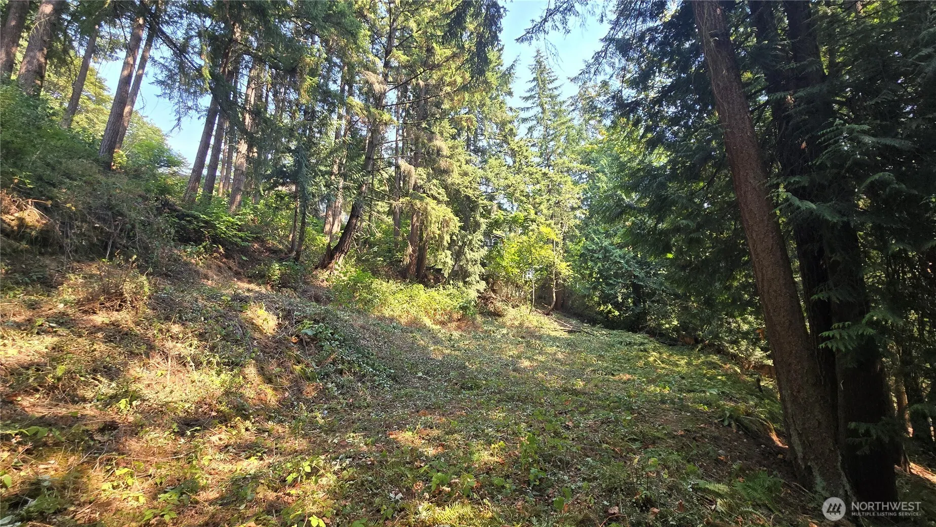 1320 207th Place NE, Sammamish, WA 98074