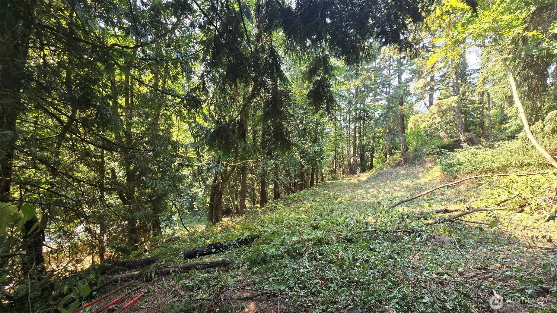 1320 207th Place NE, Sammamish, WA 98074