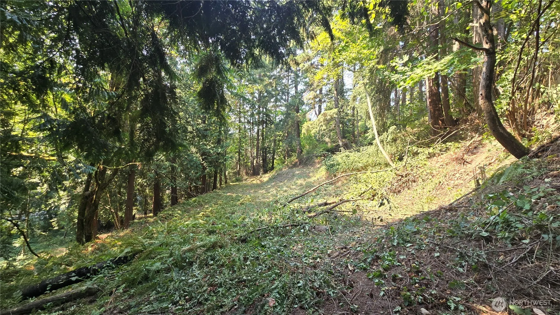 1320 207th Place NE, Sammamish, WA 98074