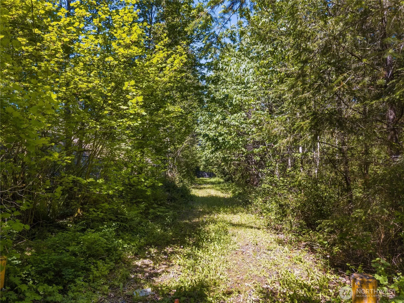 23622 SE 32nd Way , Sammamish, WA 98075