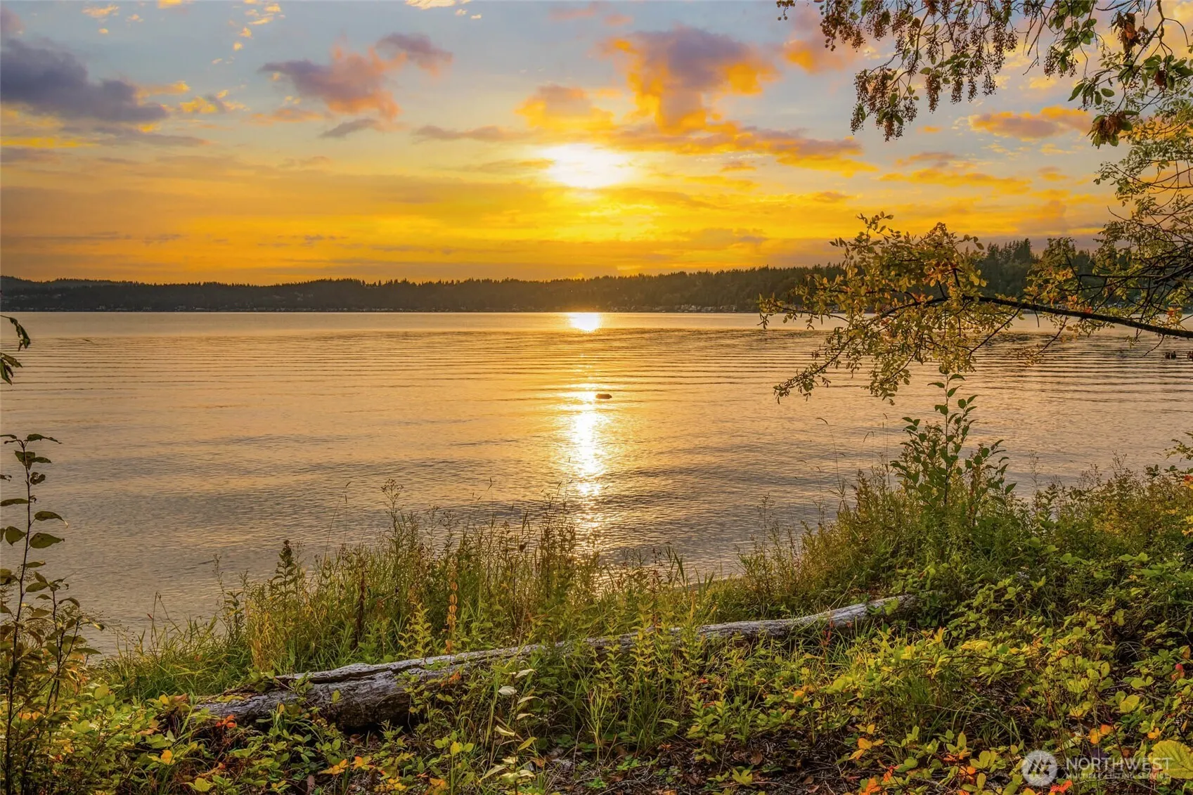 35753001 E Lake Sammamish Parkway , Sammamish, WA 98074