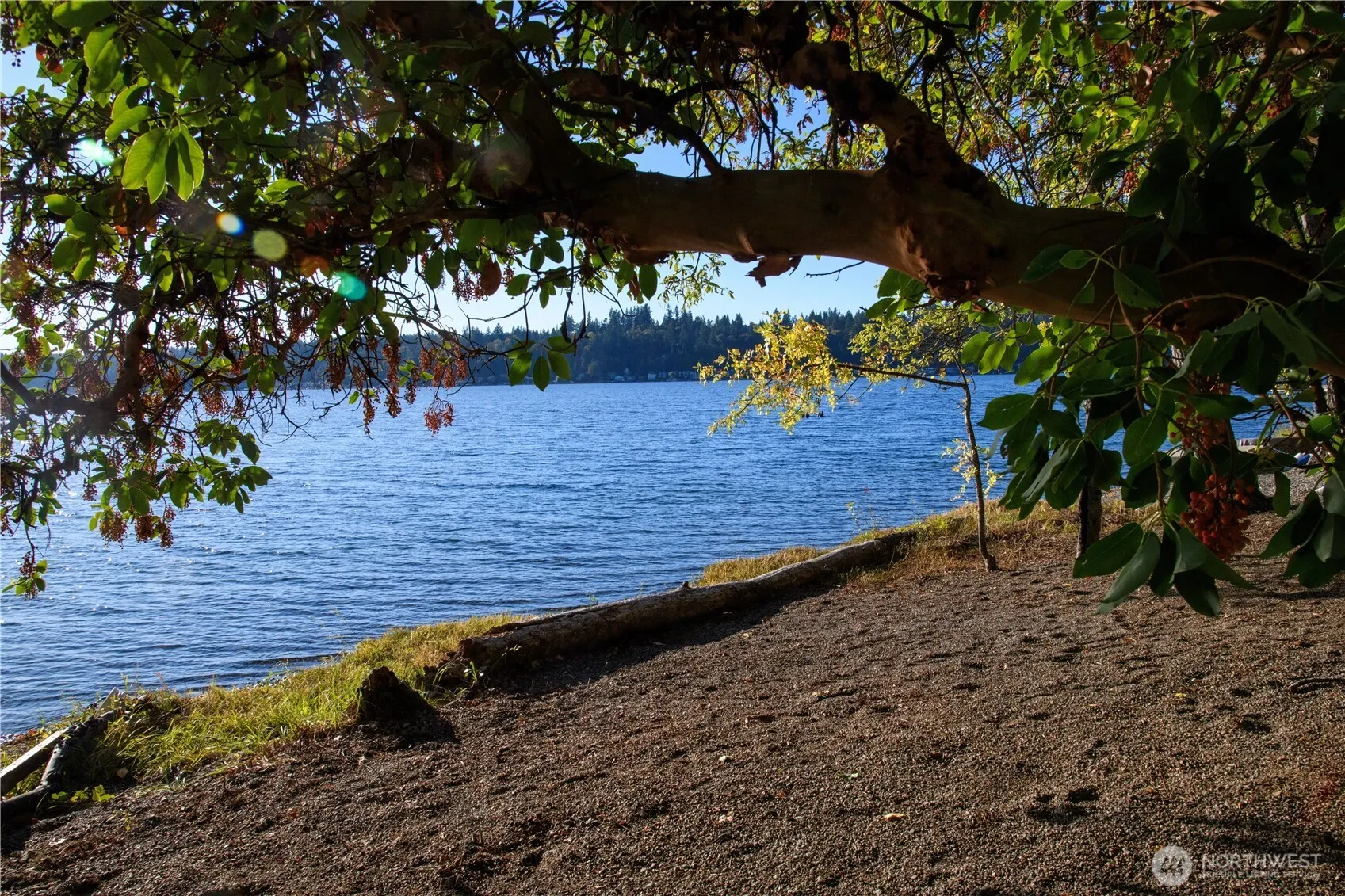 35753001 E Lake Sammamish Parkway , Sammamish, WA 98074