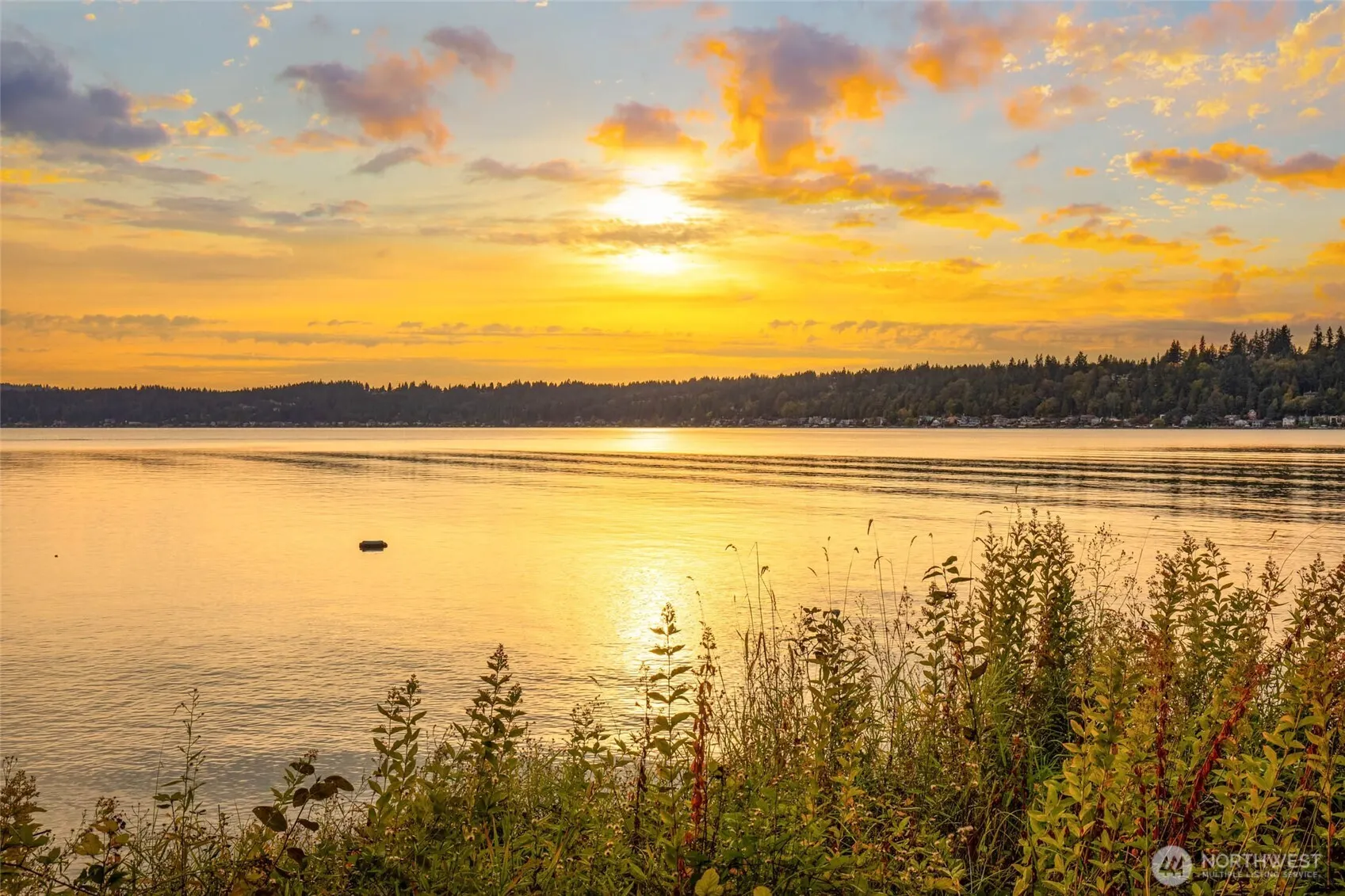 35753001 E Lake Sammamish Parkway , Sammamish, WA 98074