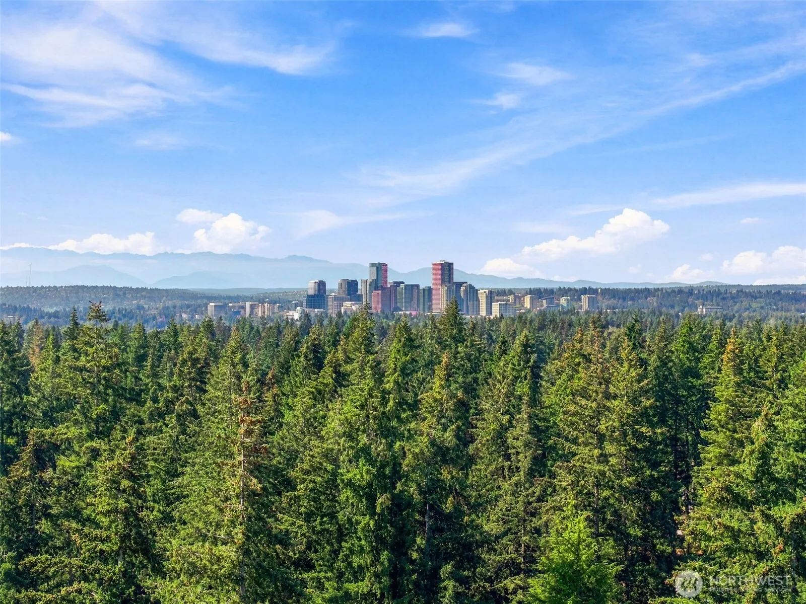 1821 155th Avenue SE, Bellevue, WA 98007