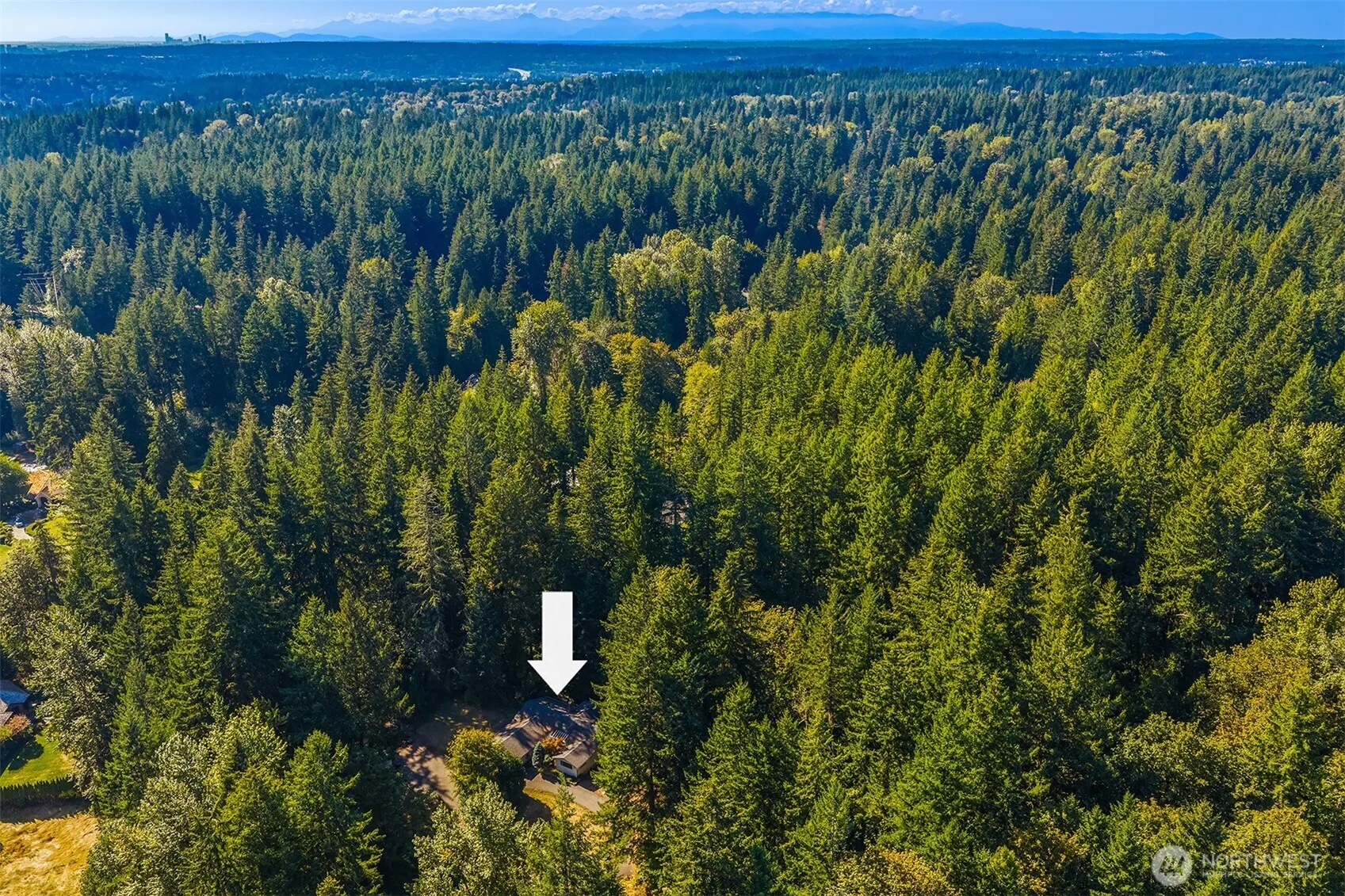 7001 242nd Avenue NE, Redmond, WA 98053