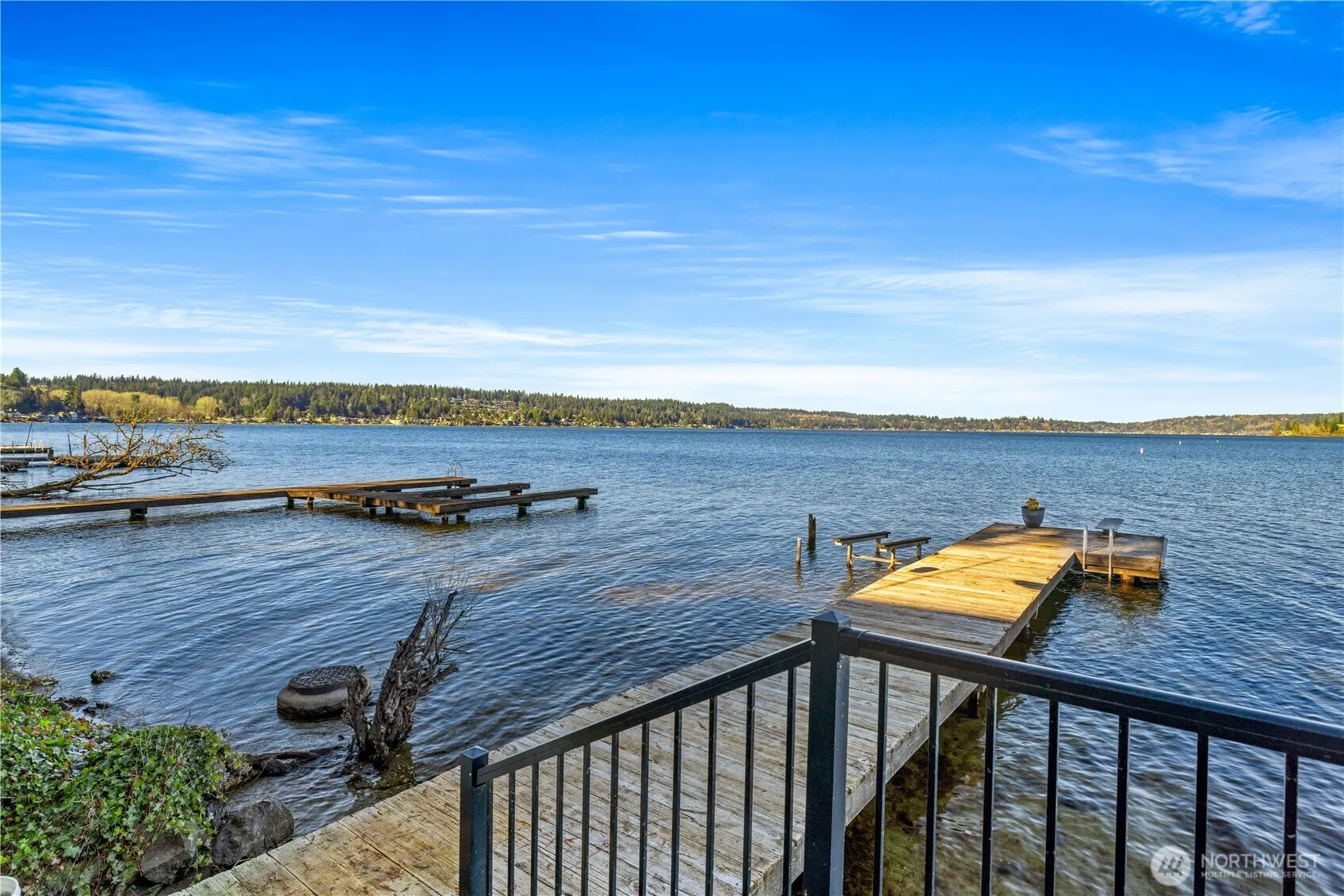 18166 41st Place SE, Issaquah, WA 98027