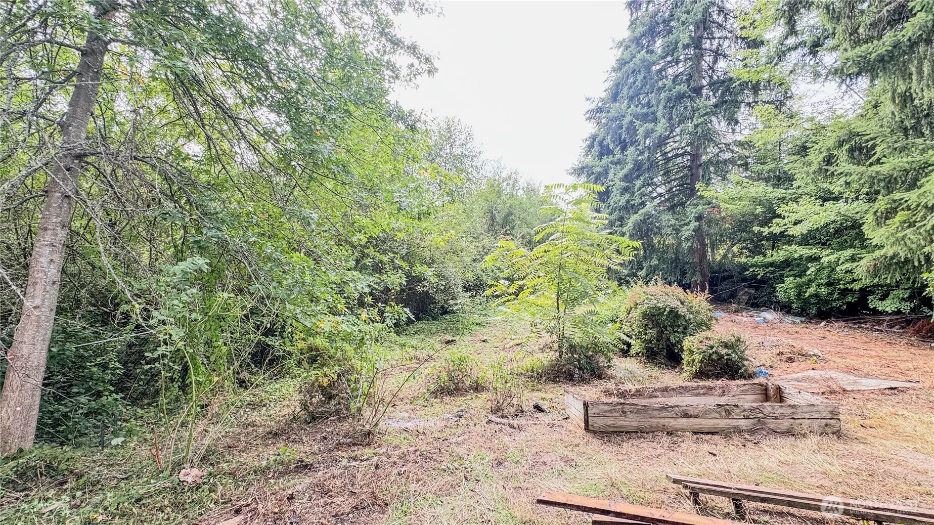 19617 NE 156 Place , Woodinville, WA 98077