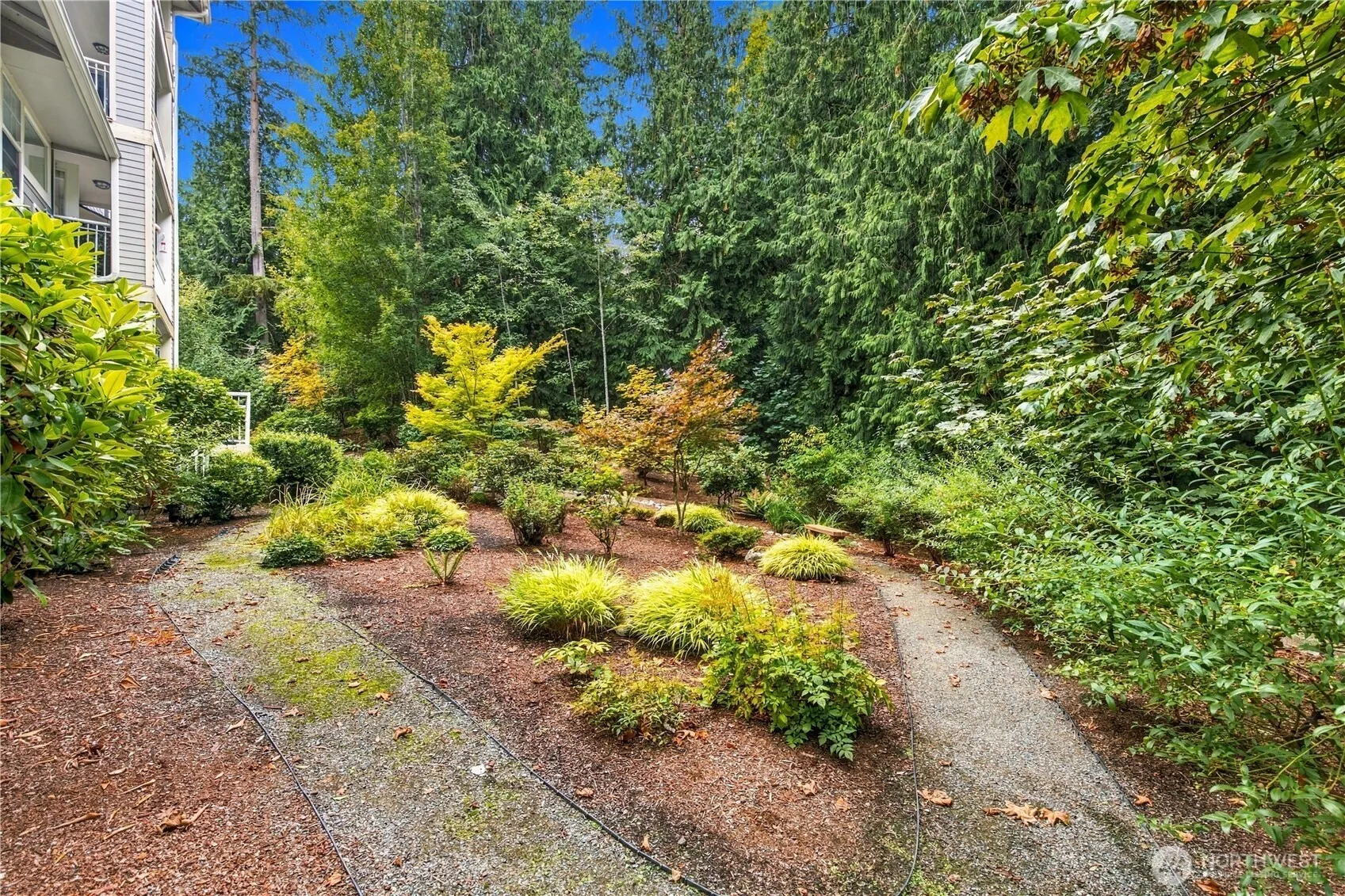 4535 Providence Point Place SE #102, Issaquah, WA 98029