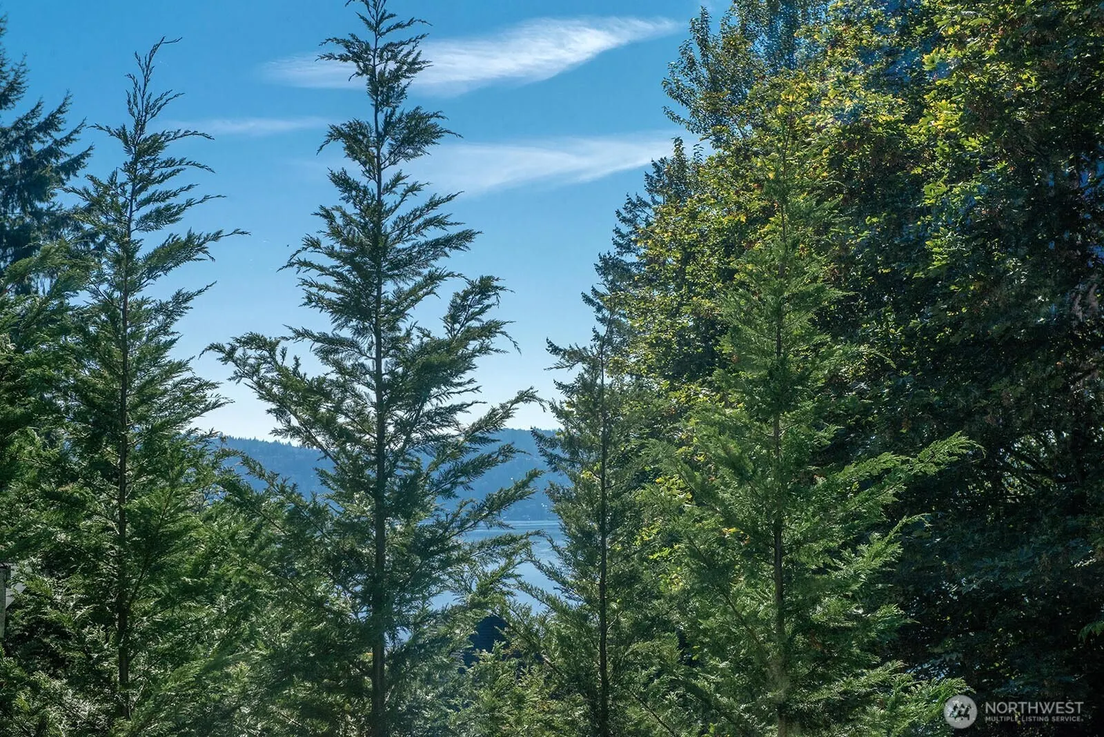1072 205th Avenue NE, Sammamish, WA 98074