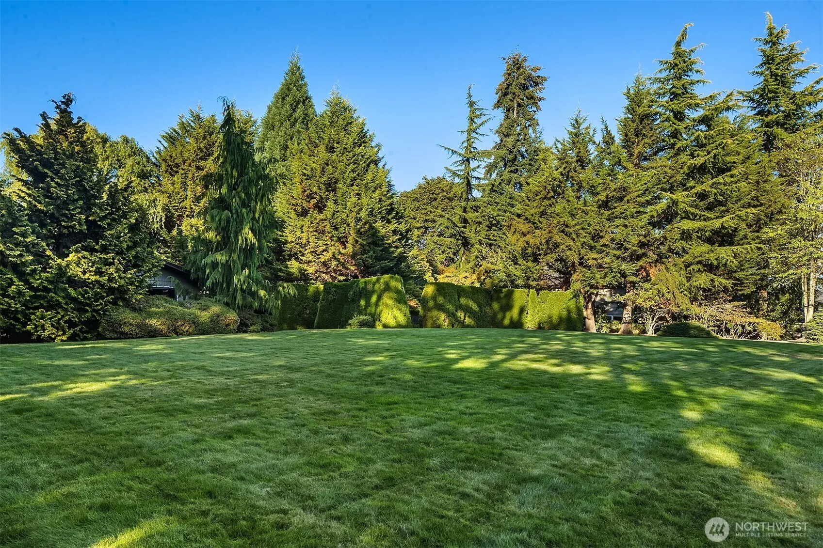 6031 126th Avenue NE, Kirkland, WA 98033