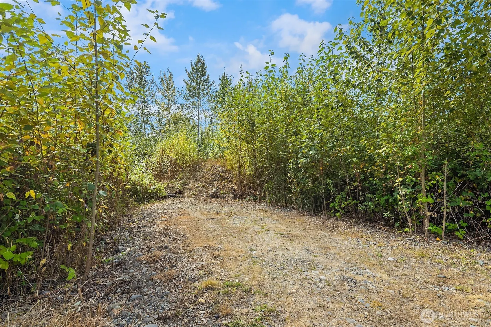 2 XXXX NE 50th Street , Redmond, WA 98053