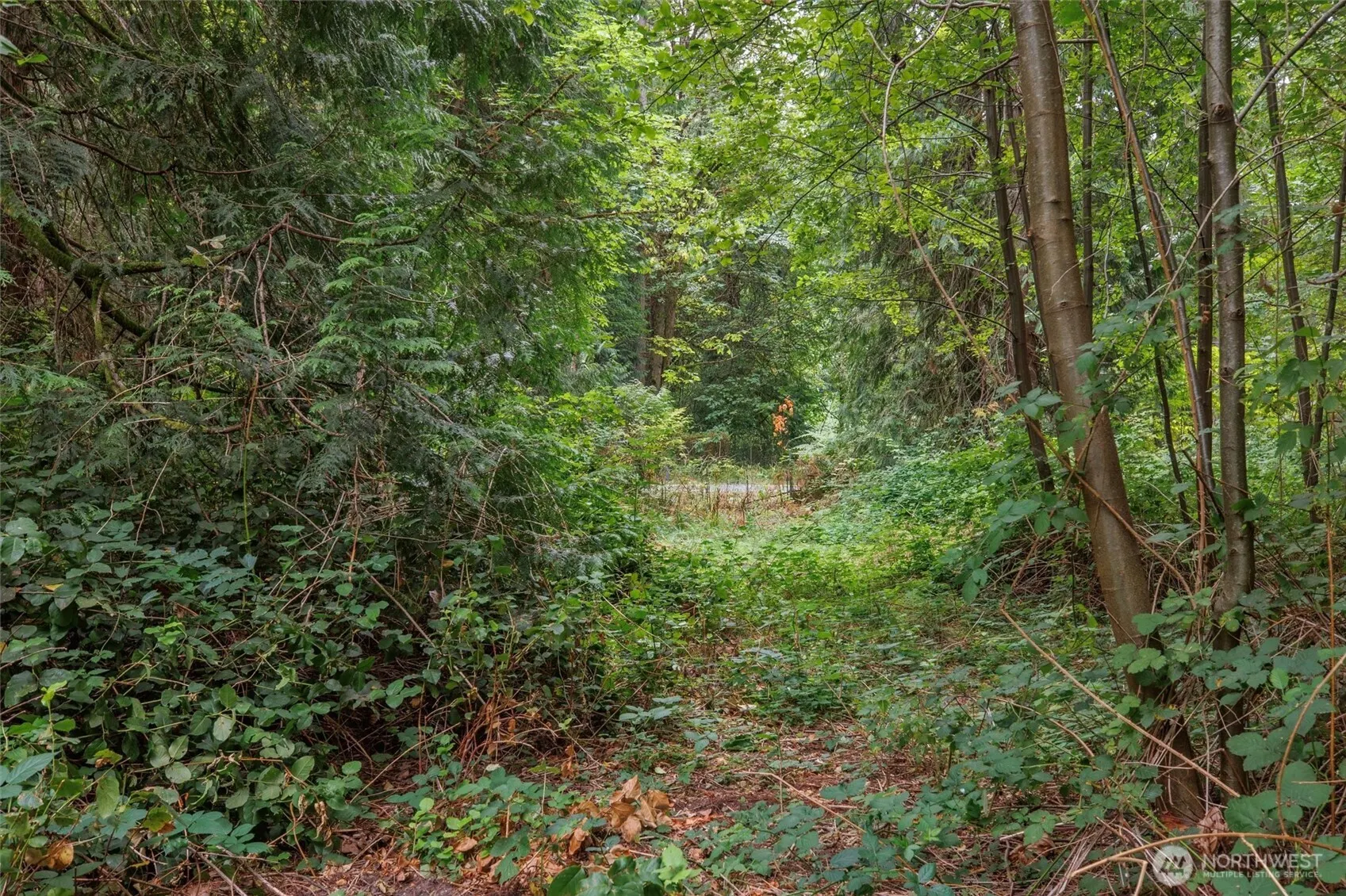 0 TBD NE Union Hill Road , Redmond, WA 98053
