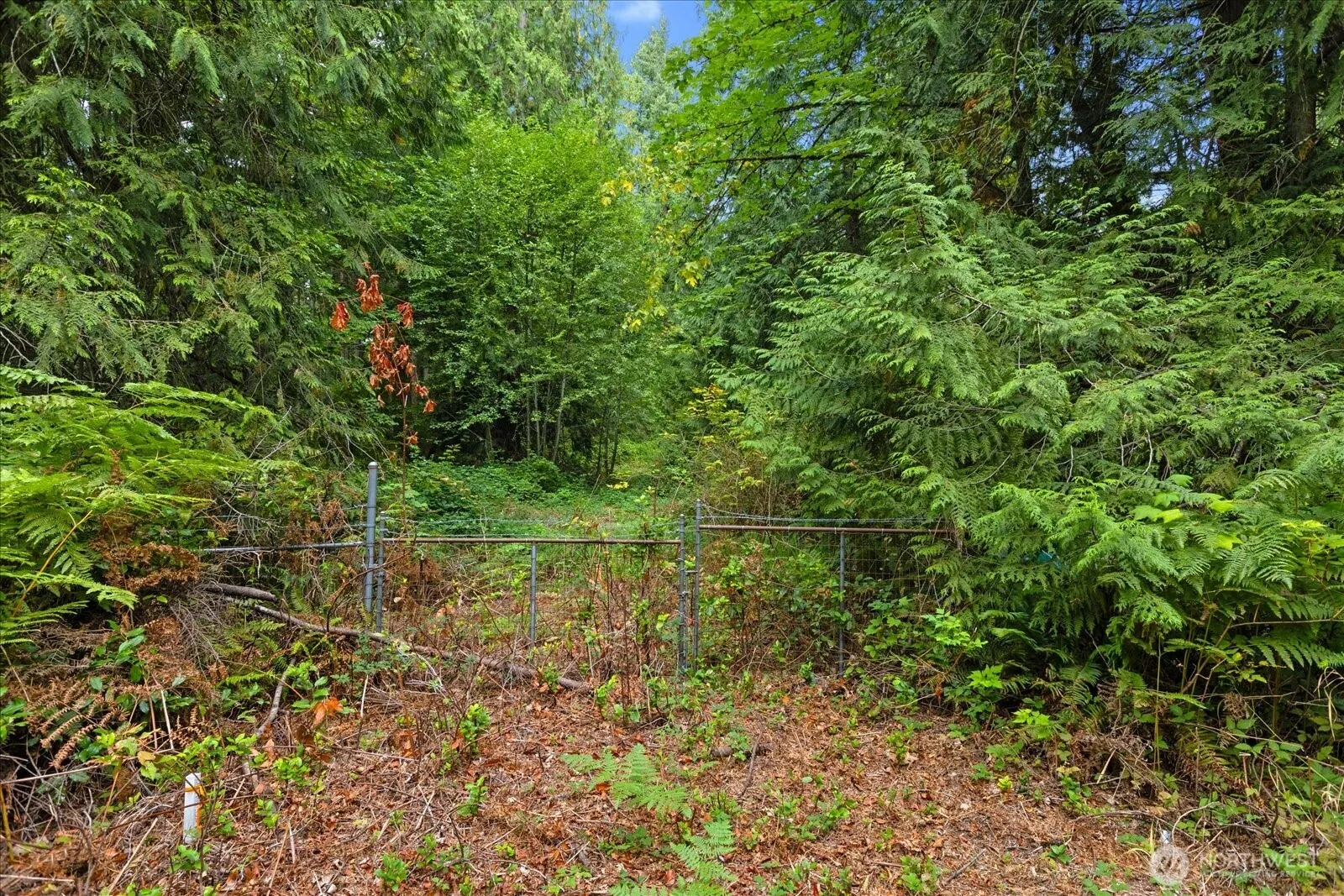 0 TBD NE Union Hill Road , Redmond, WA 98053