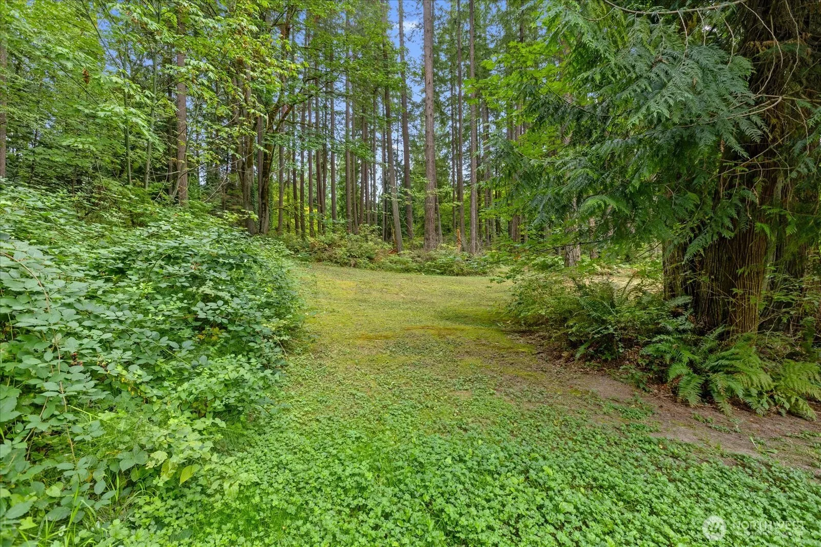 0 TBD NE Union Hill Road , Redmond, WA 98053