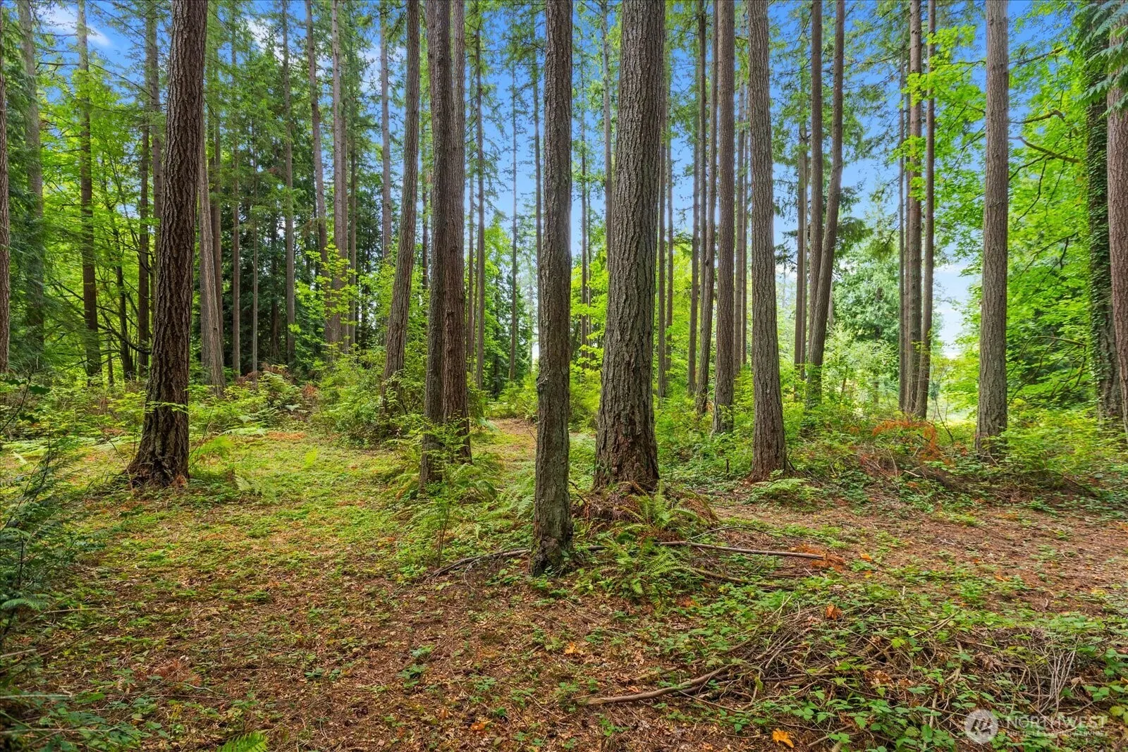 0 TBD NE Union Hill Road , Redmond, WA 98053
