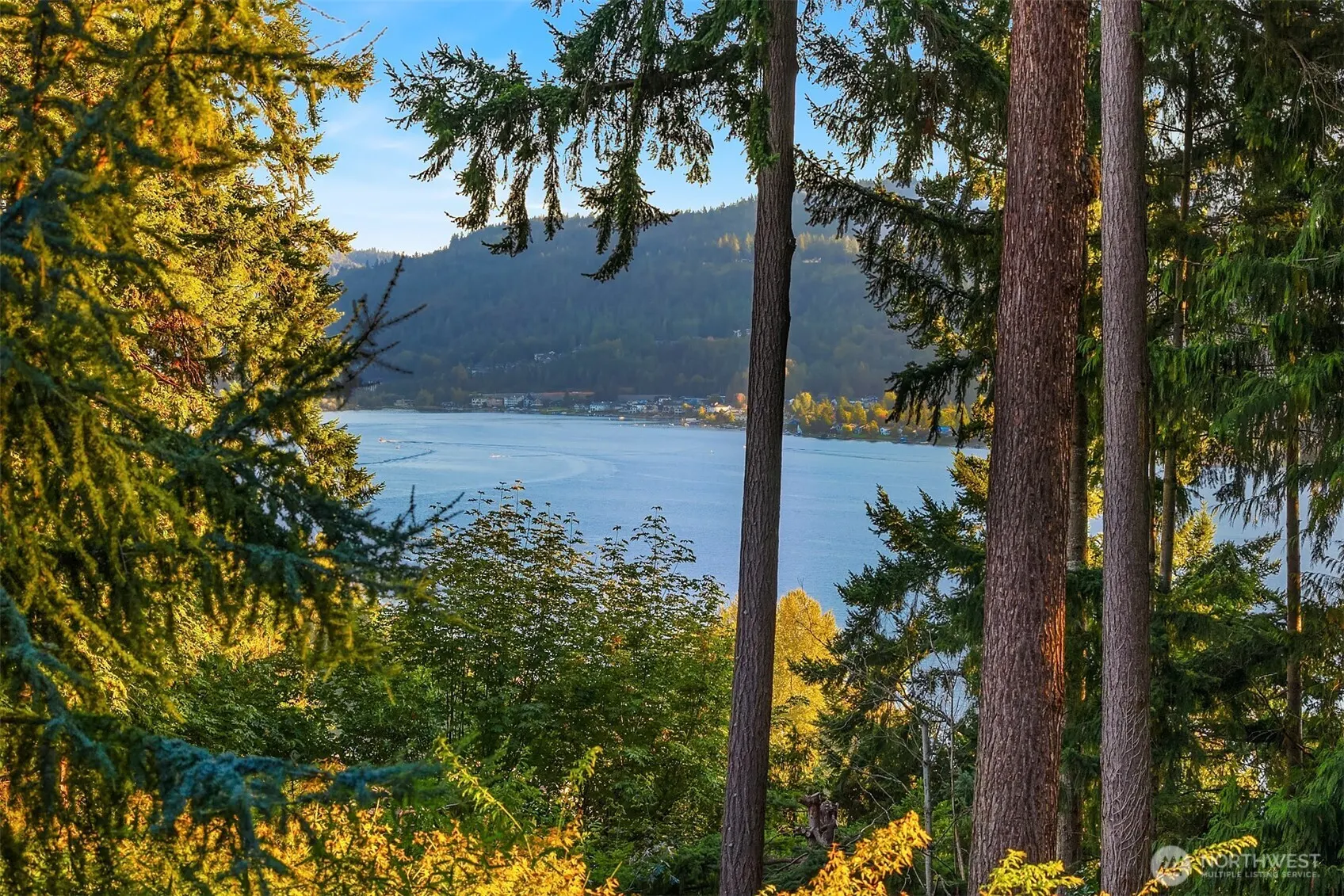 2911 198th Avenue SE, Sammamish, WA 98075
