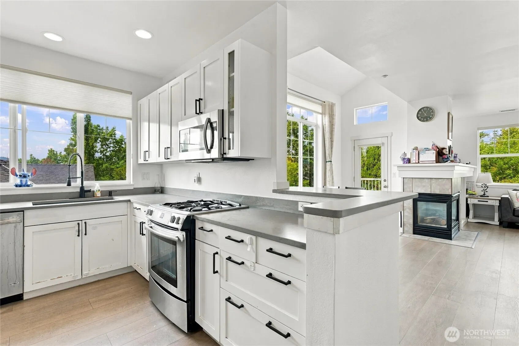 1601 NE Katsura Street #101, Issaquah, WA 98029