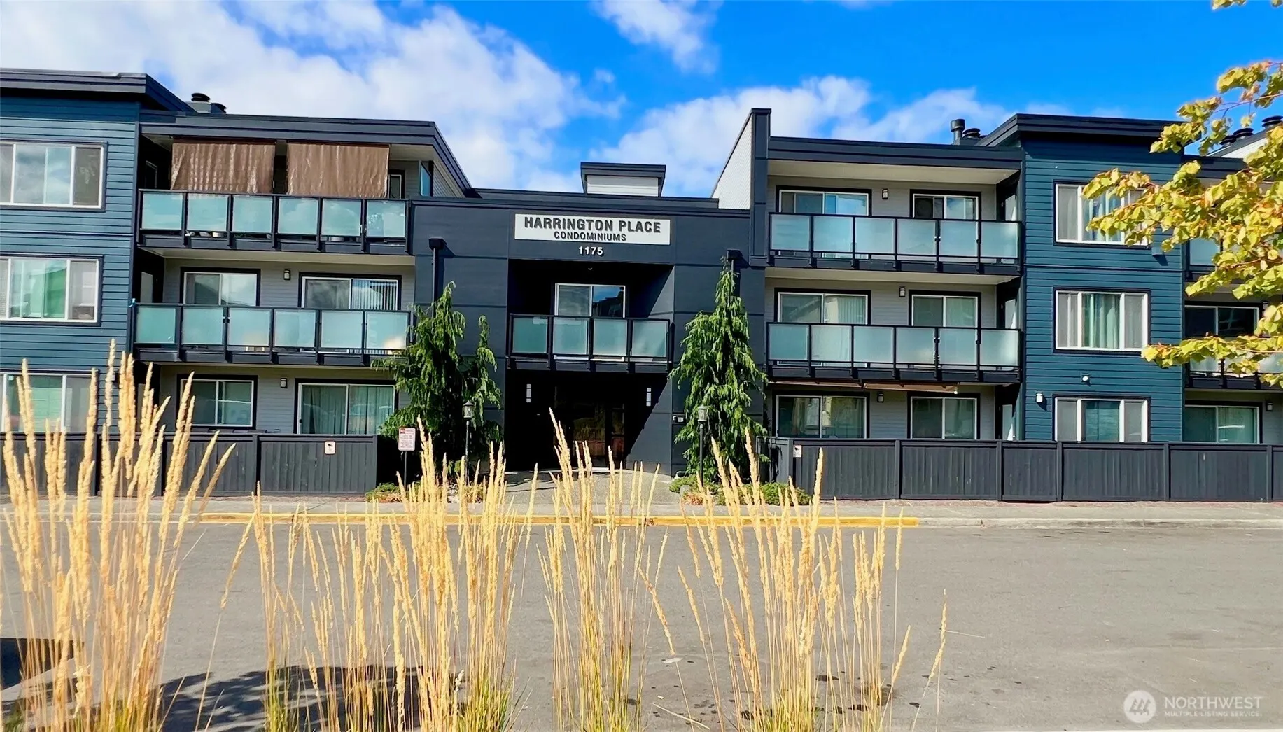 1175 Harrington Place NE #214, Renton, WA 98056