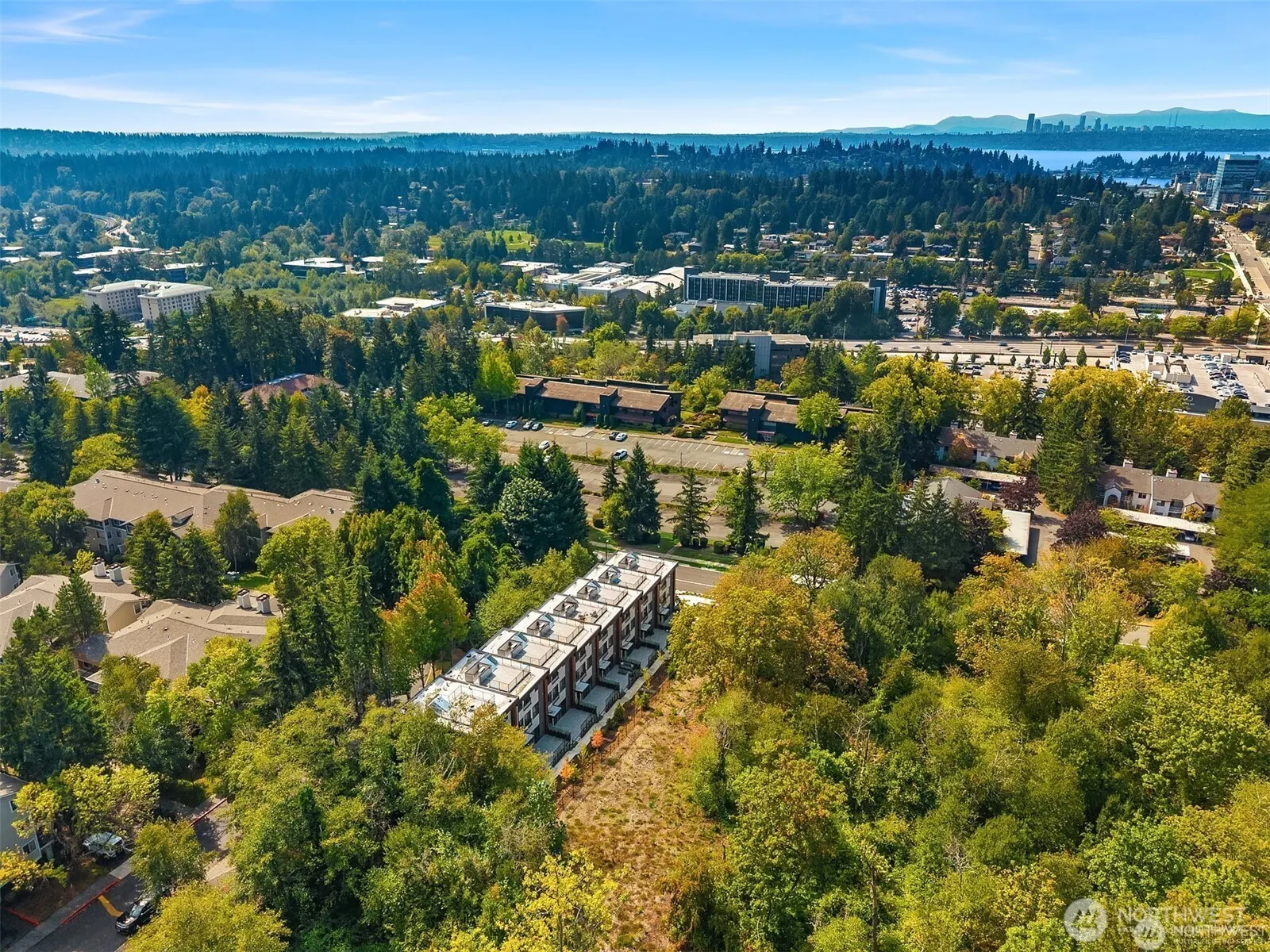 298 118th Avenue SE, Bellevue, WA 98005