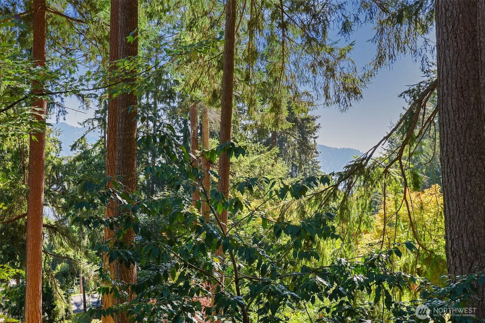 1115 Wildwood Boulevard SW, Issaquah, WA 98027