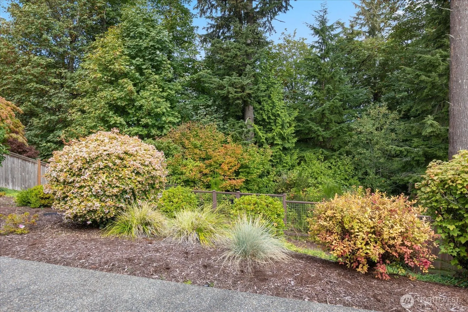 15380 SE 160th Place , Renton, WA 98058