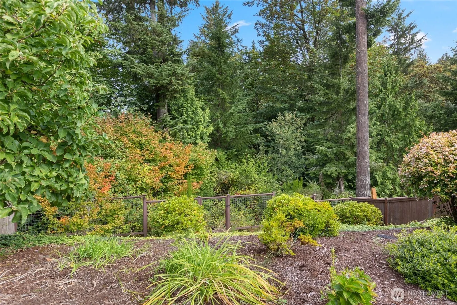 15380 SE 160th Place , Renton, WA 98058
