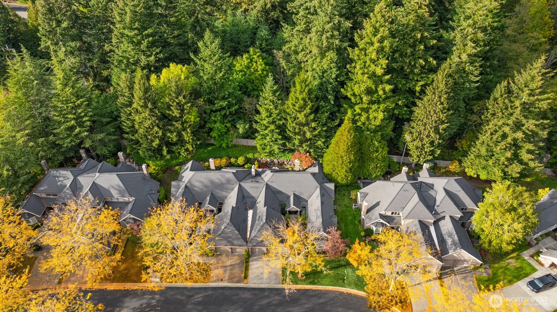 1796 Bellevue Way NE #11, Bellevue, WA 98004
