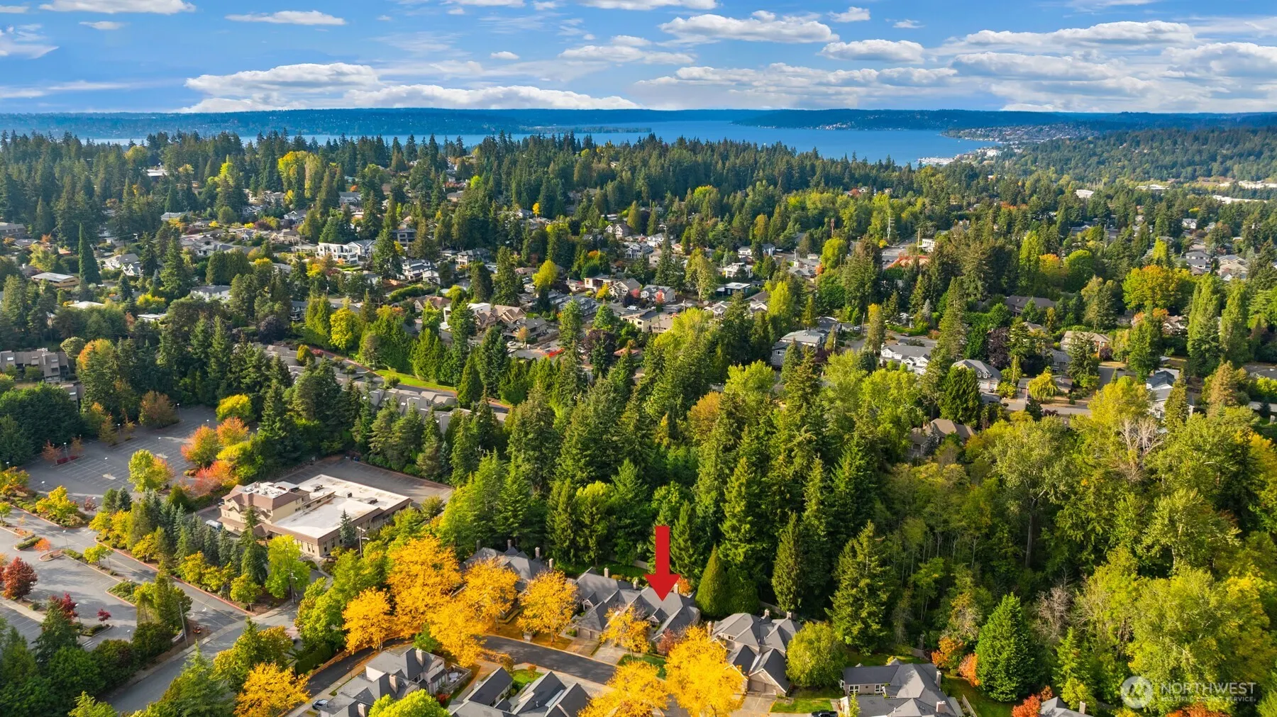1796 Bellevue Way NE #11, Bellevue, WA 98004