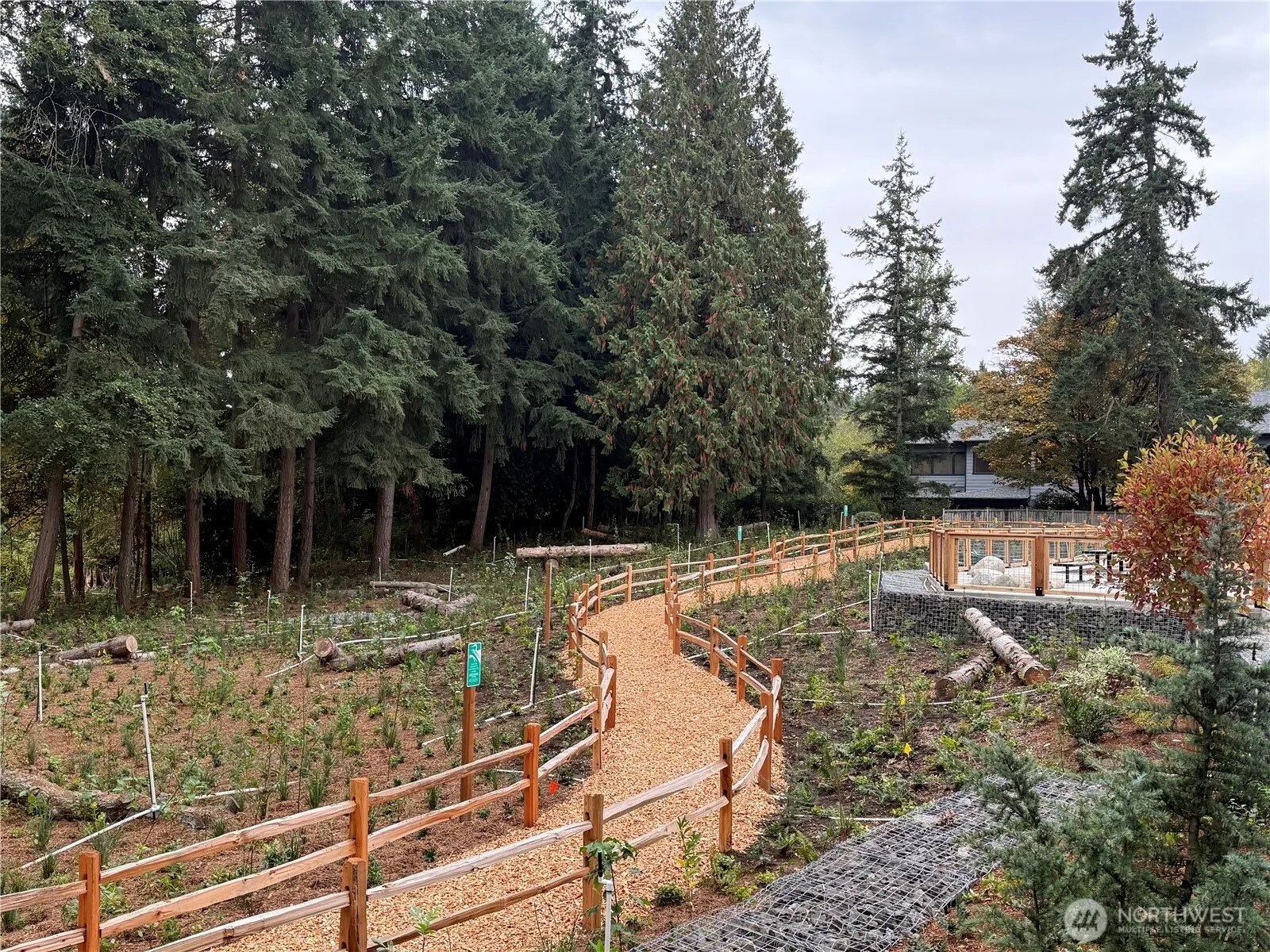 1129 129th Court NE, Bellevue, WA 98005