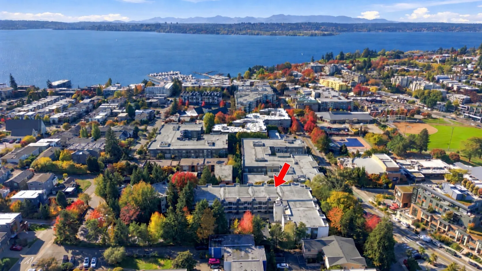 410 2nd Avenue S #109, Kirkland, WA 98033