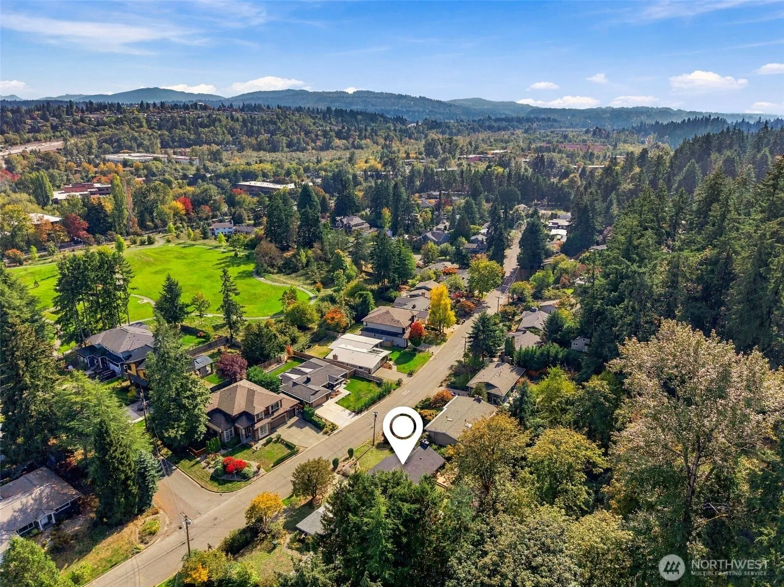 609 109th Avenue SE, Bellevue, WA 98004-6339