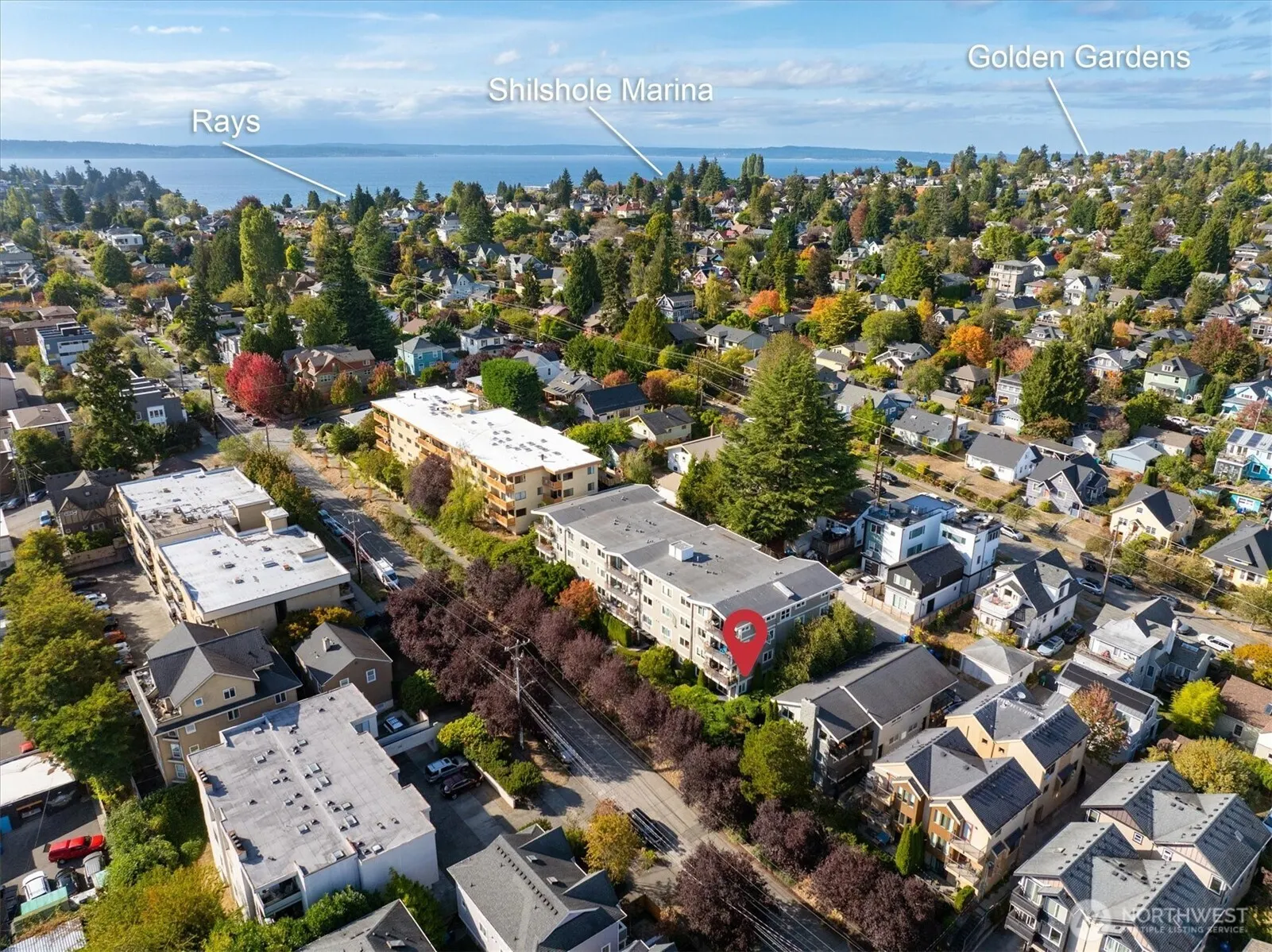 2830 NW 56th Street #101, Seattle, WA 98107