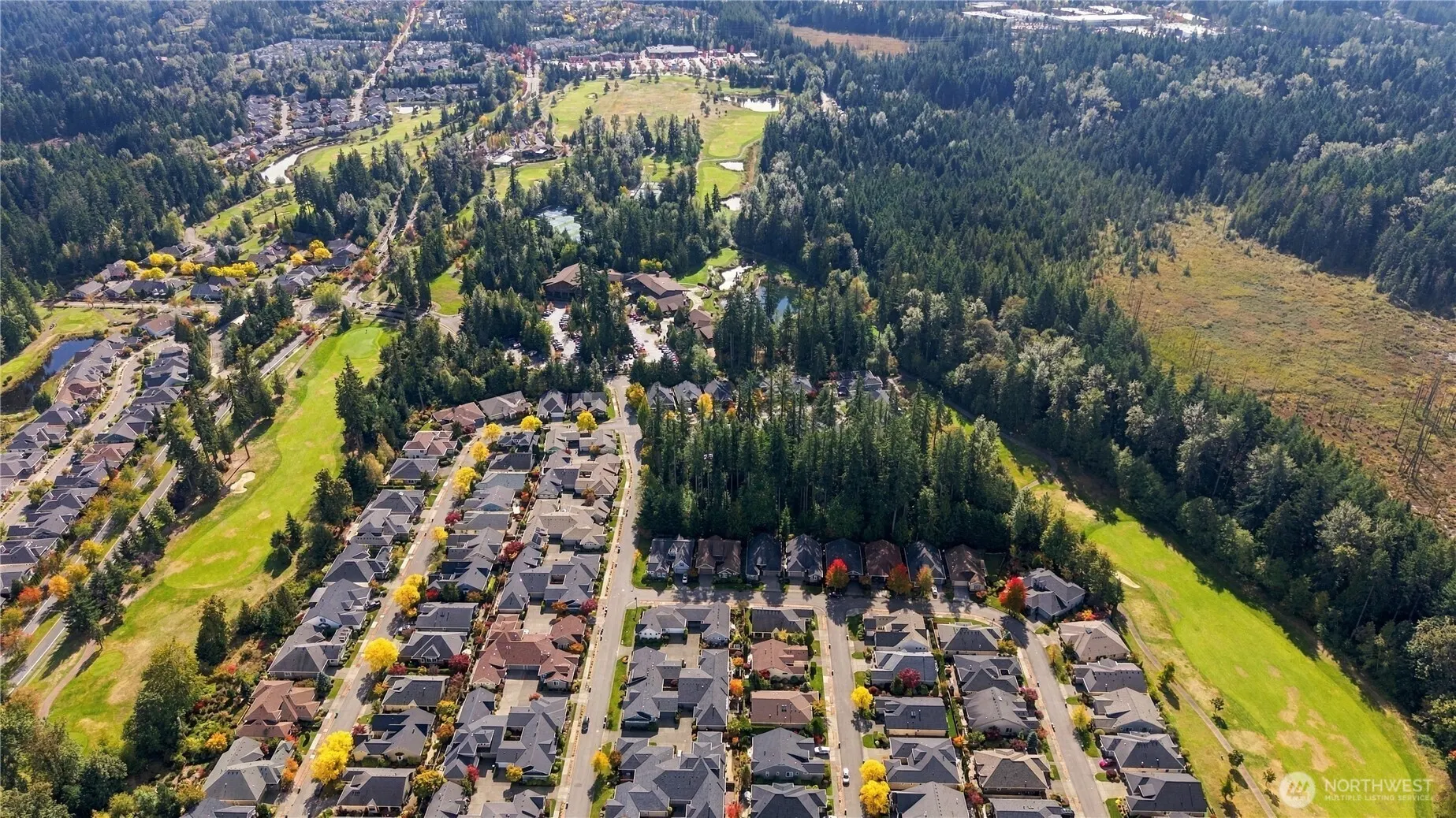 12423 231st Avenue NE, Redmond, WA 98053