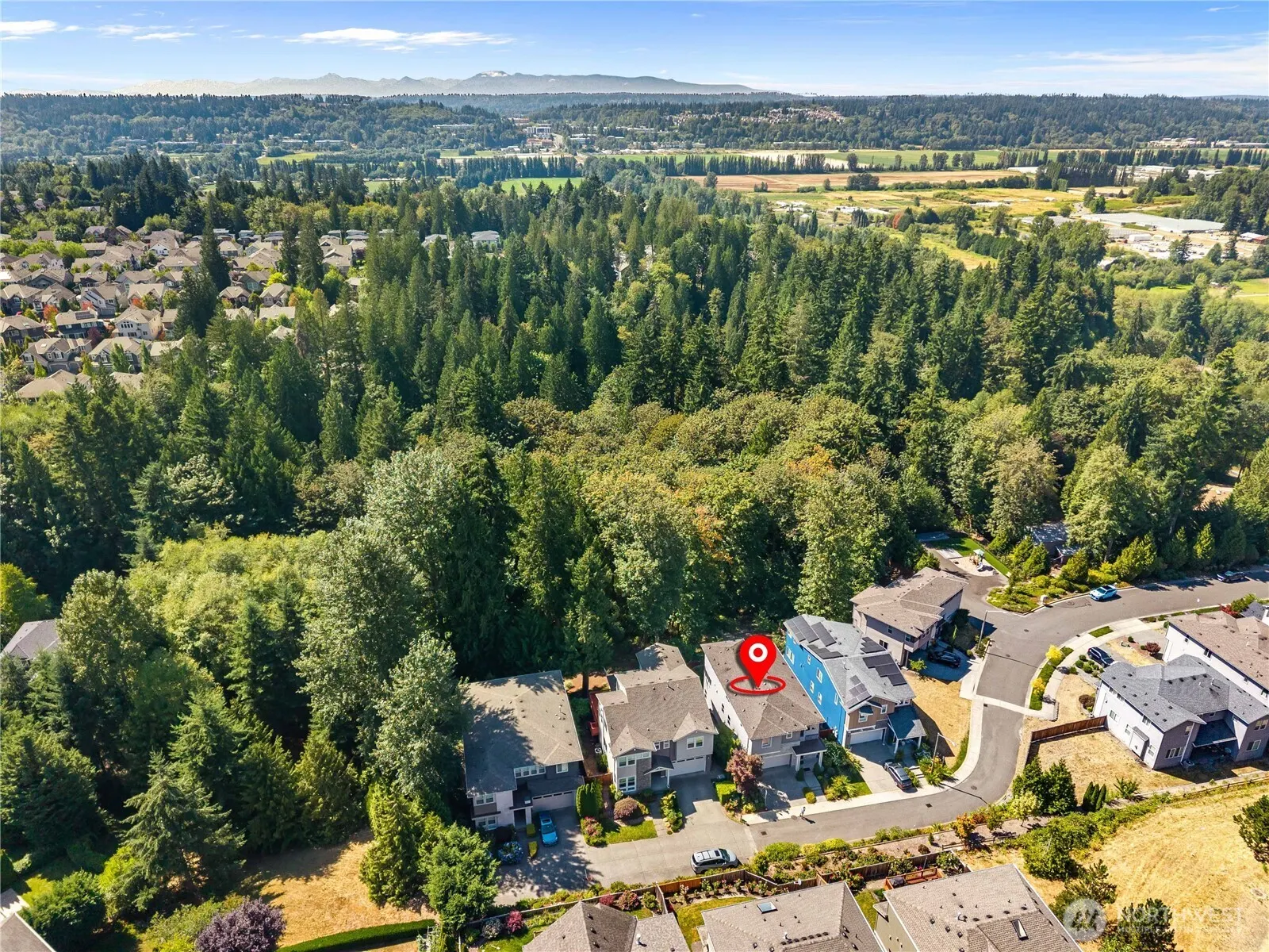 12099 164th Court NE, Redmond, WA 98052