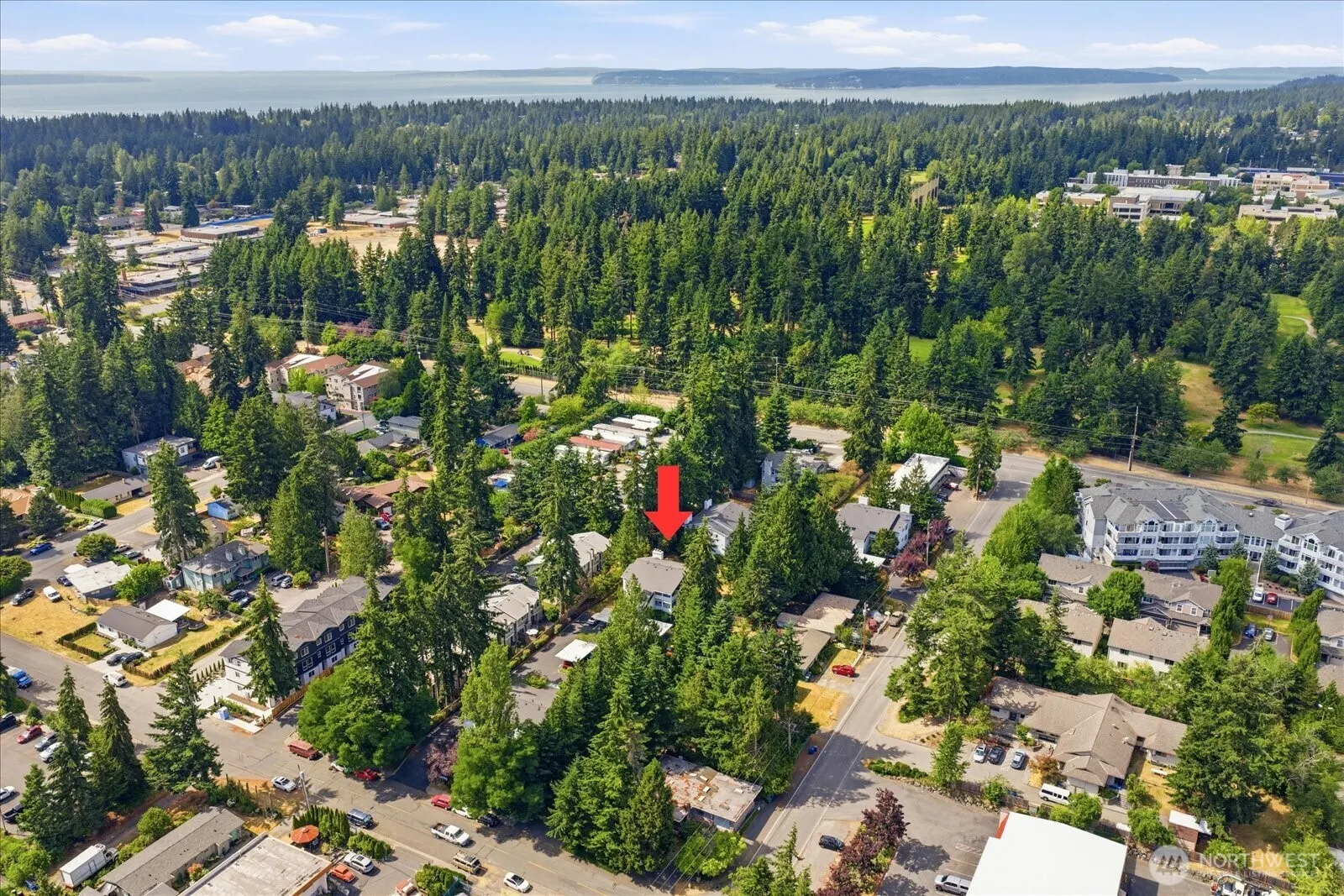 7019 210th Street SW #4, Lynnwood, WA 98036-7372