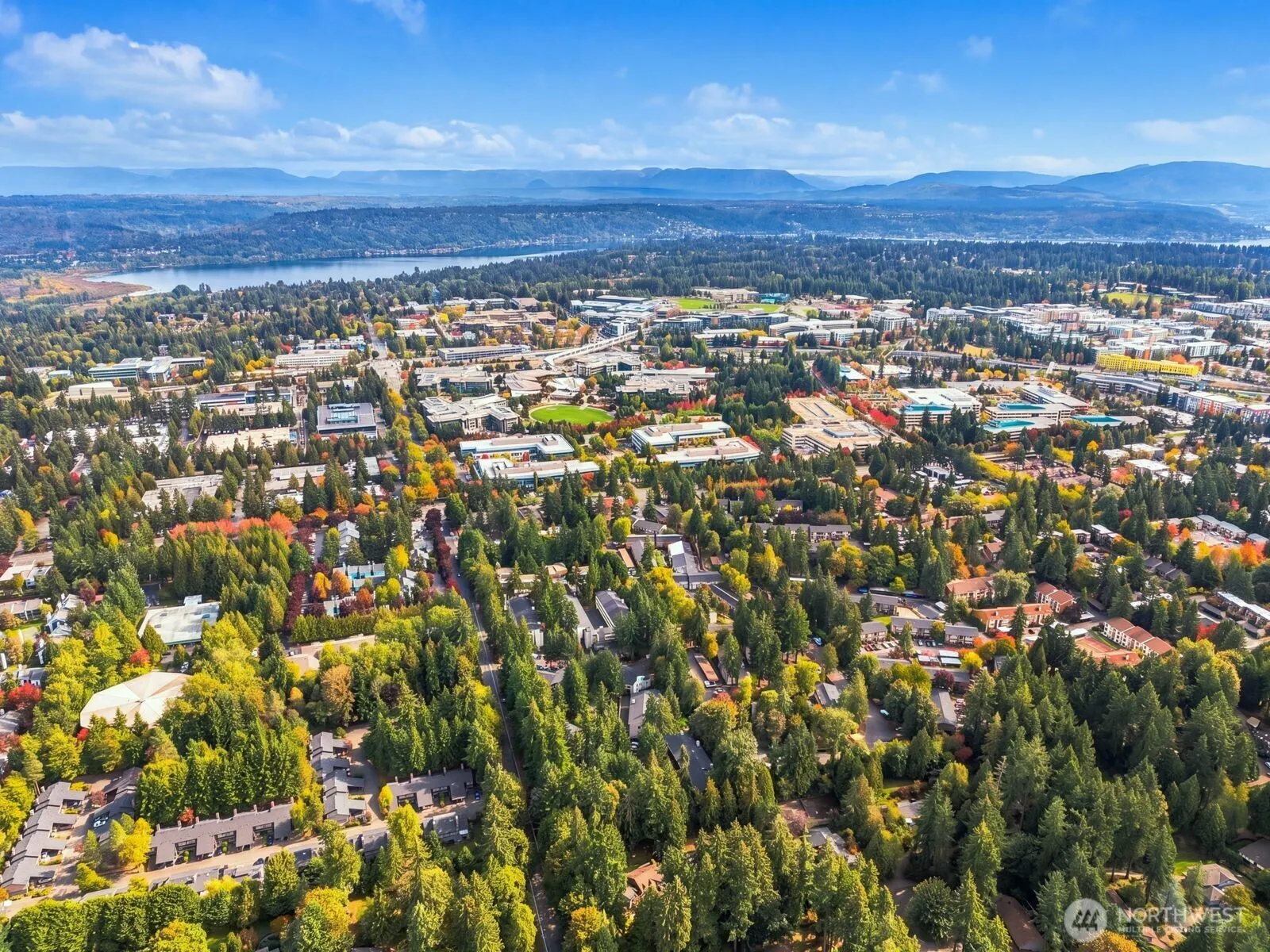 14475 NE 40th St #E202, Bellevue, WA 98007