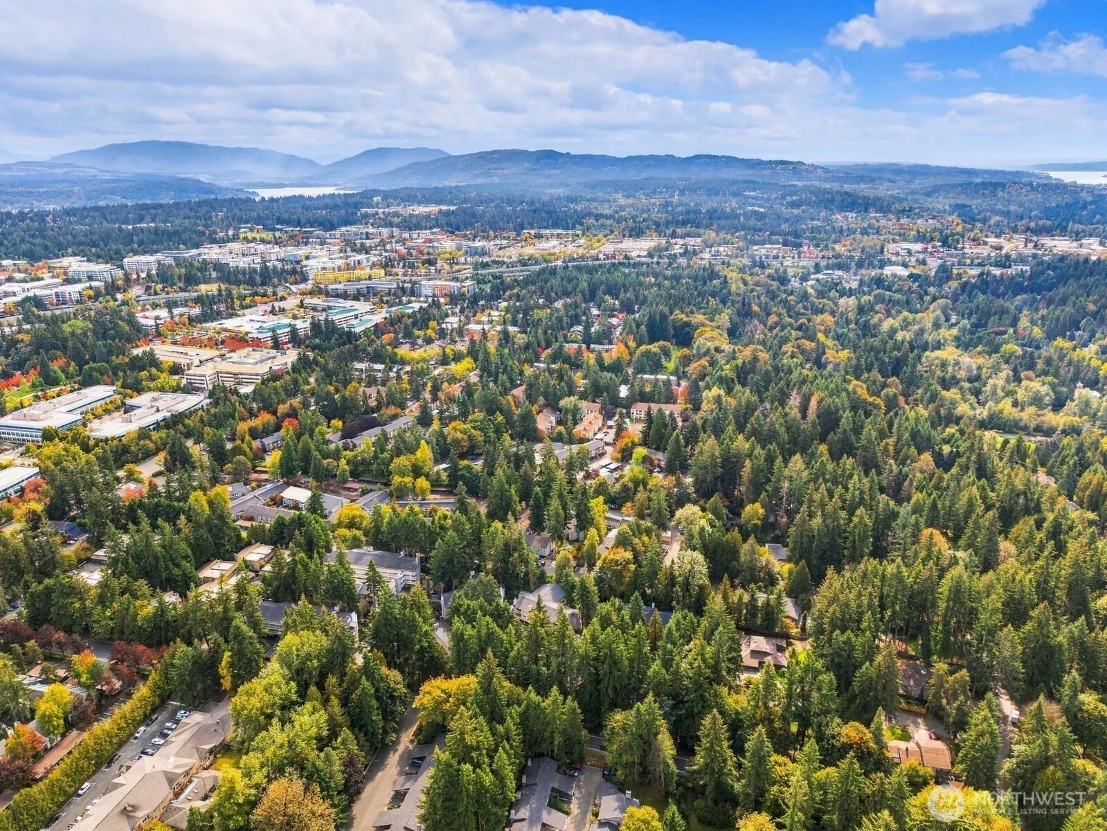 14475 NE 40th St #E202, Bellevue, WA 98007