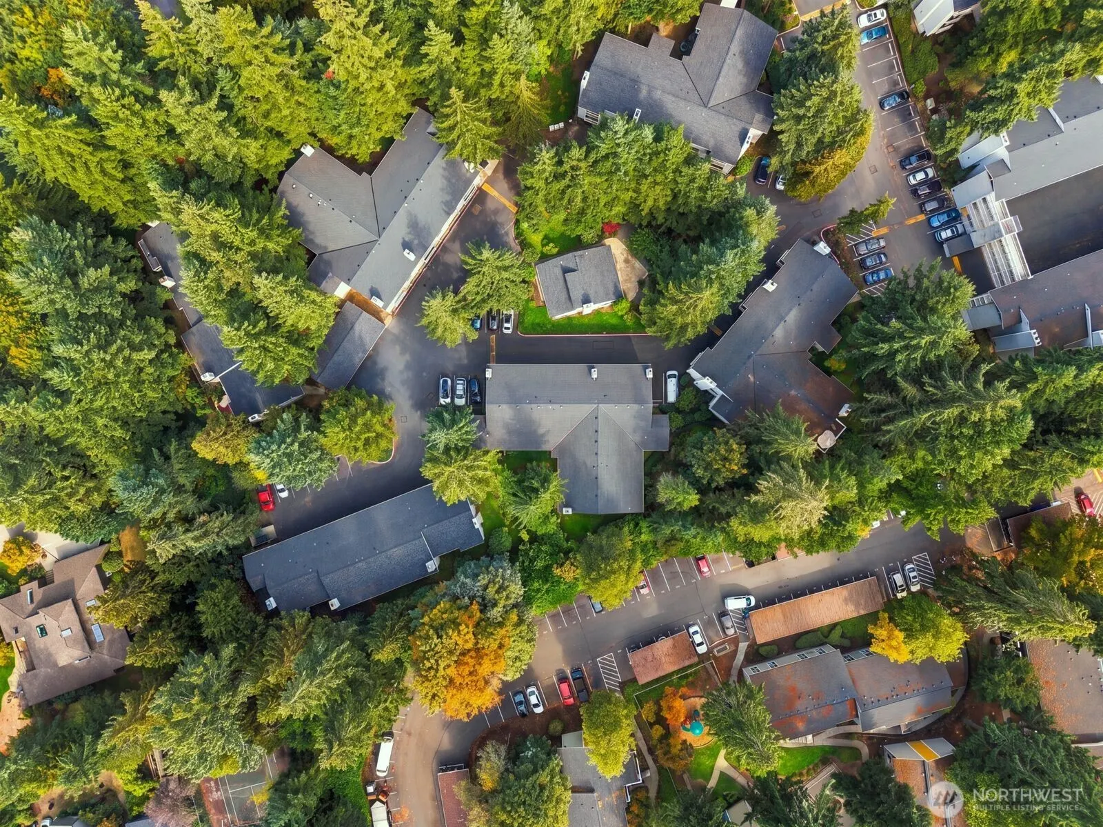 14475 NE 40th St #E202, Bellevue, WA 98007