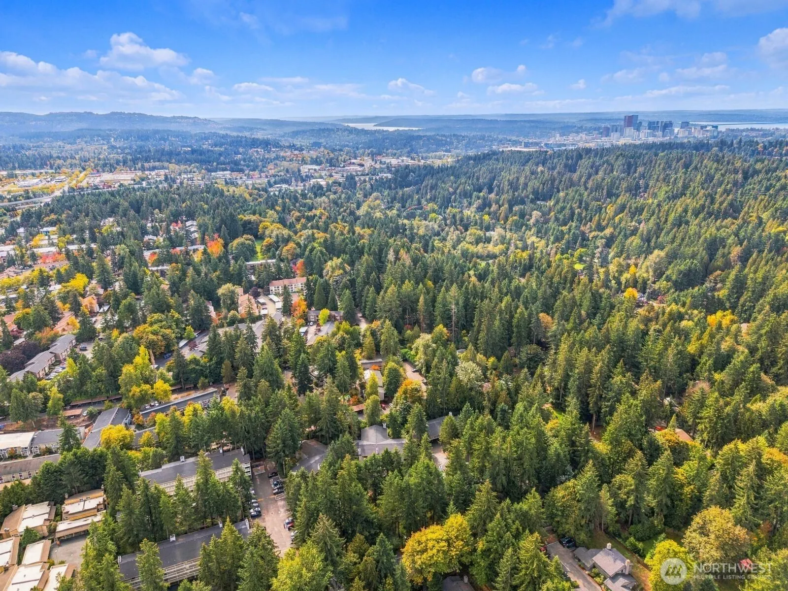 14475 NE 40th St #E202, Bellevue, WA 98007