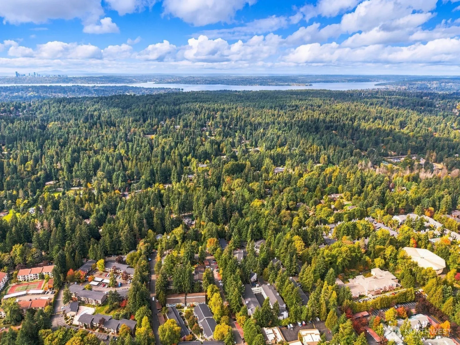 14475 NE 40th St #E202, Bellevue, WA 98007