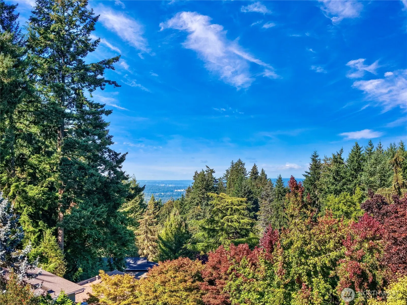 15724 SE 50th Street , Bellevue, WA 98006