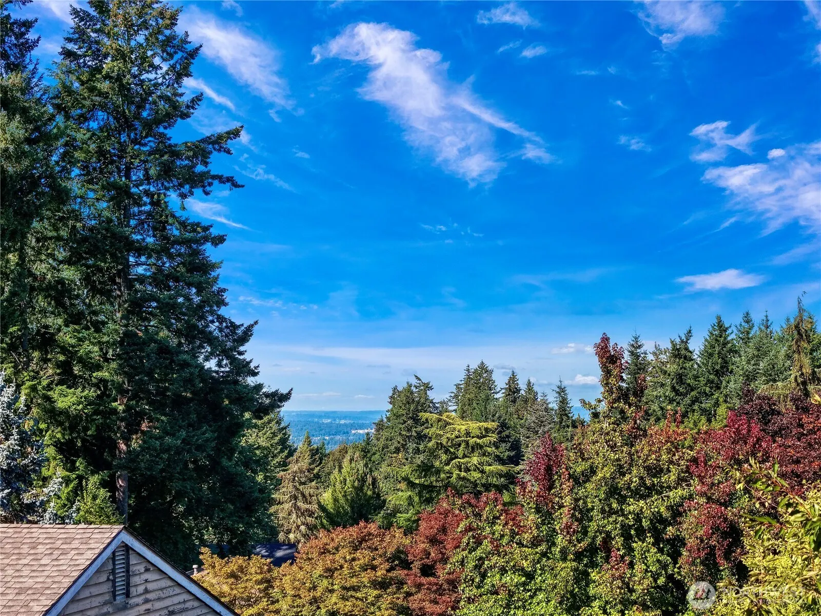 15724 SE 50th Street , Bellevue, WA 98006