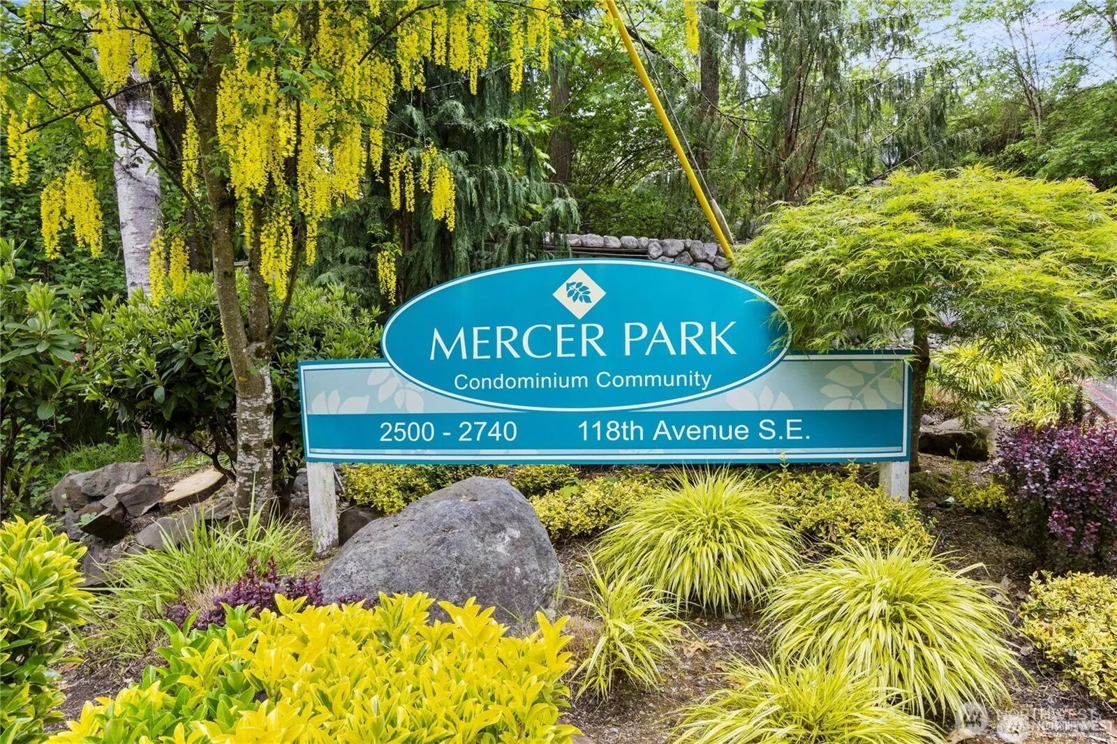 2640 118th Avenue SE #301, Bellevue, WA 98005