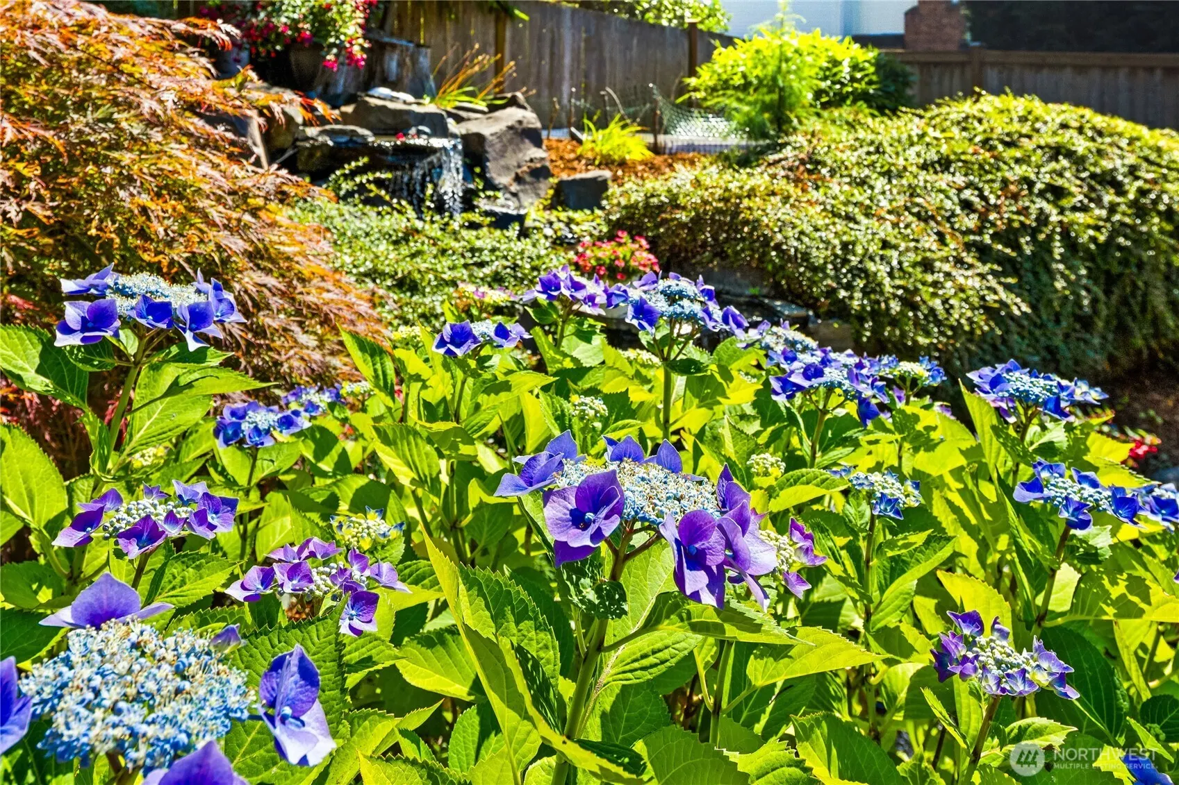 22525 SE 46th Place , Sammamish, WA 98075