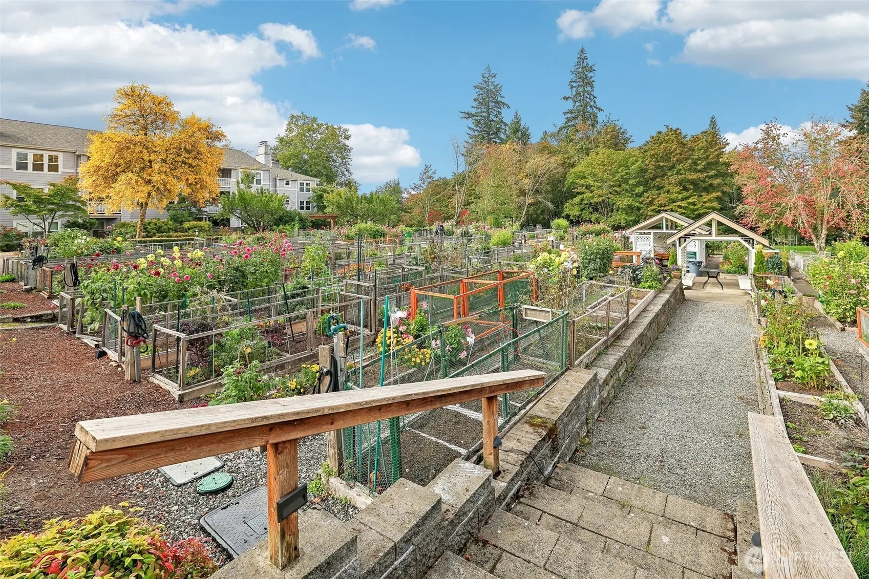 3935 226th Place SE #207, Issaquah, WA 98029