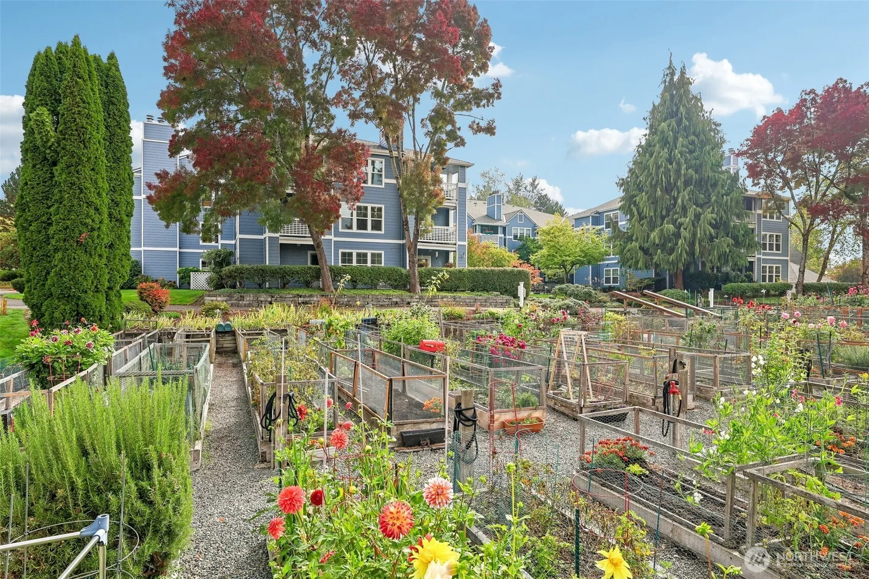 3935 226th Place SE #207, Issaquah, WA 98029