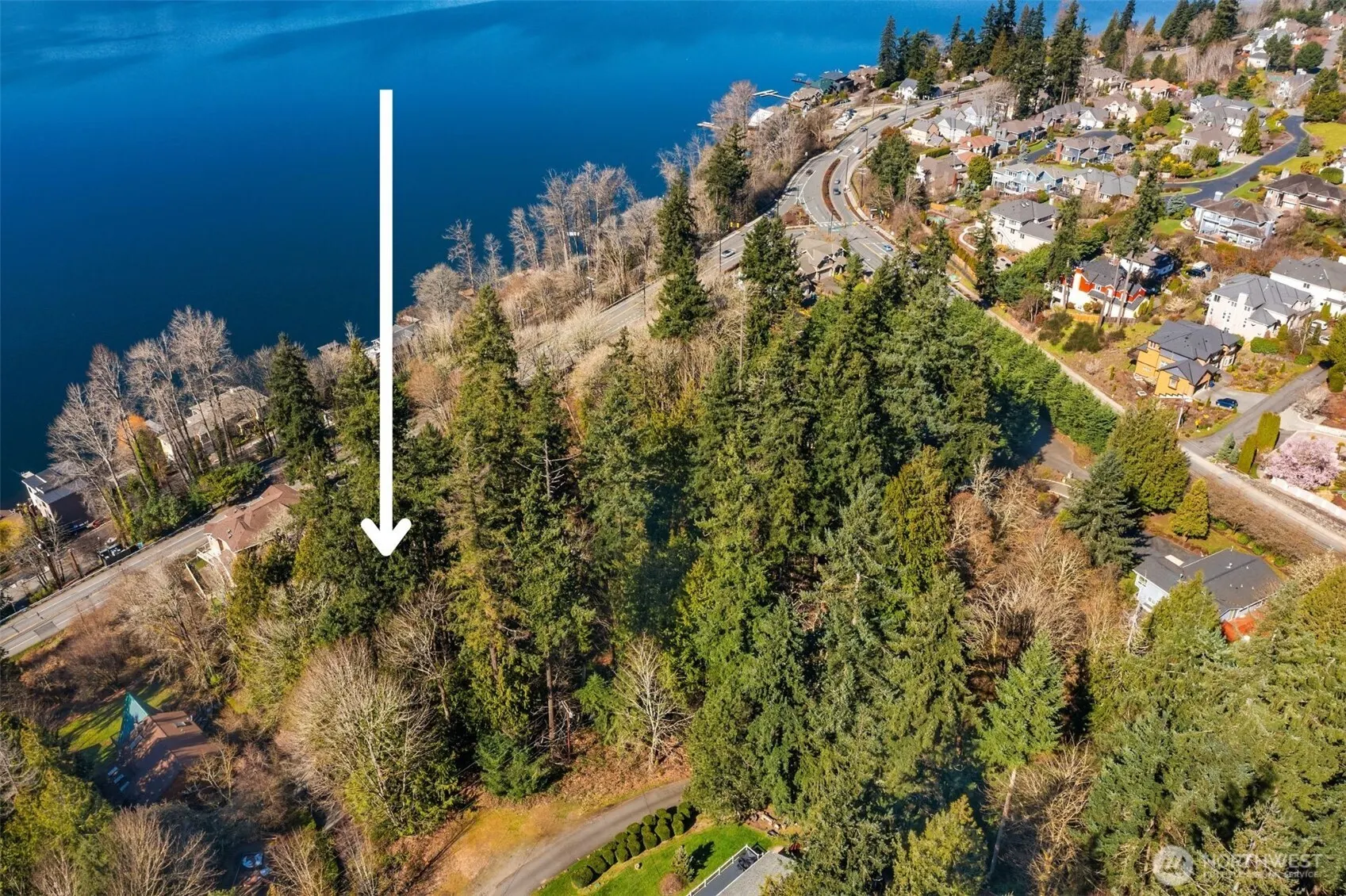 11 XX E Lake Sammamish Parkway NE, Sammamish, WA 98074