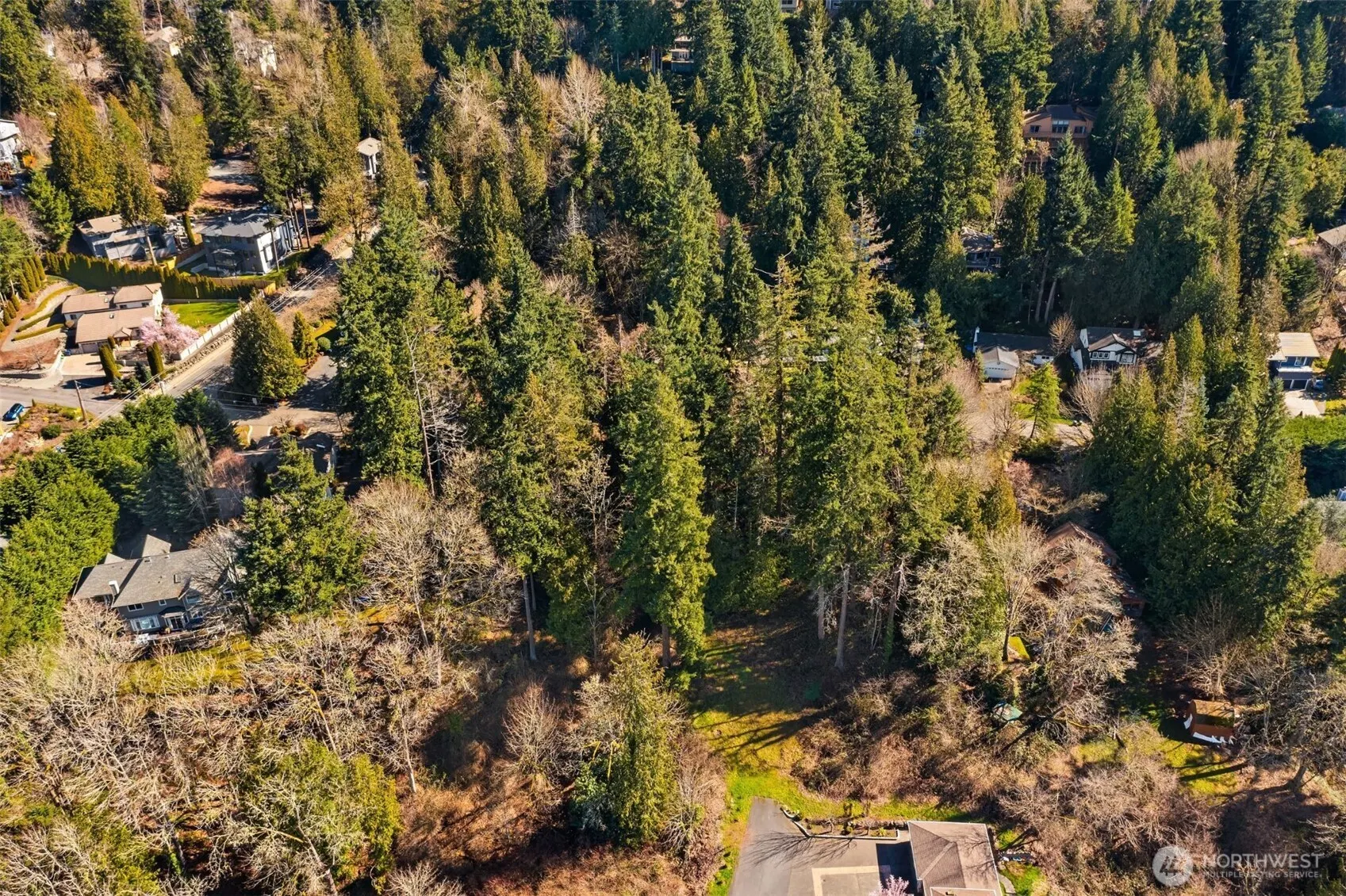 11 XX E Lake Sammamish Parkway NE, Sammamish, WA 98074